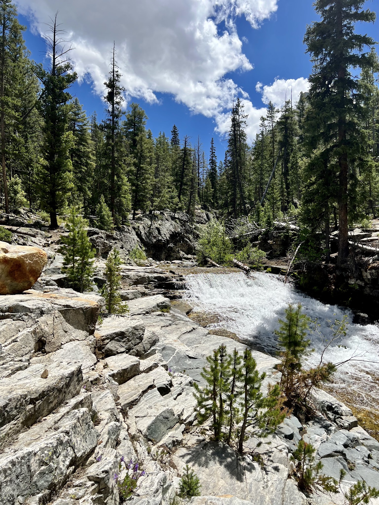 Wildhorse Campground