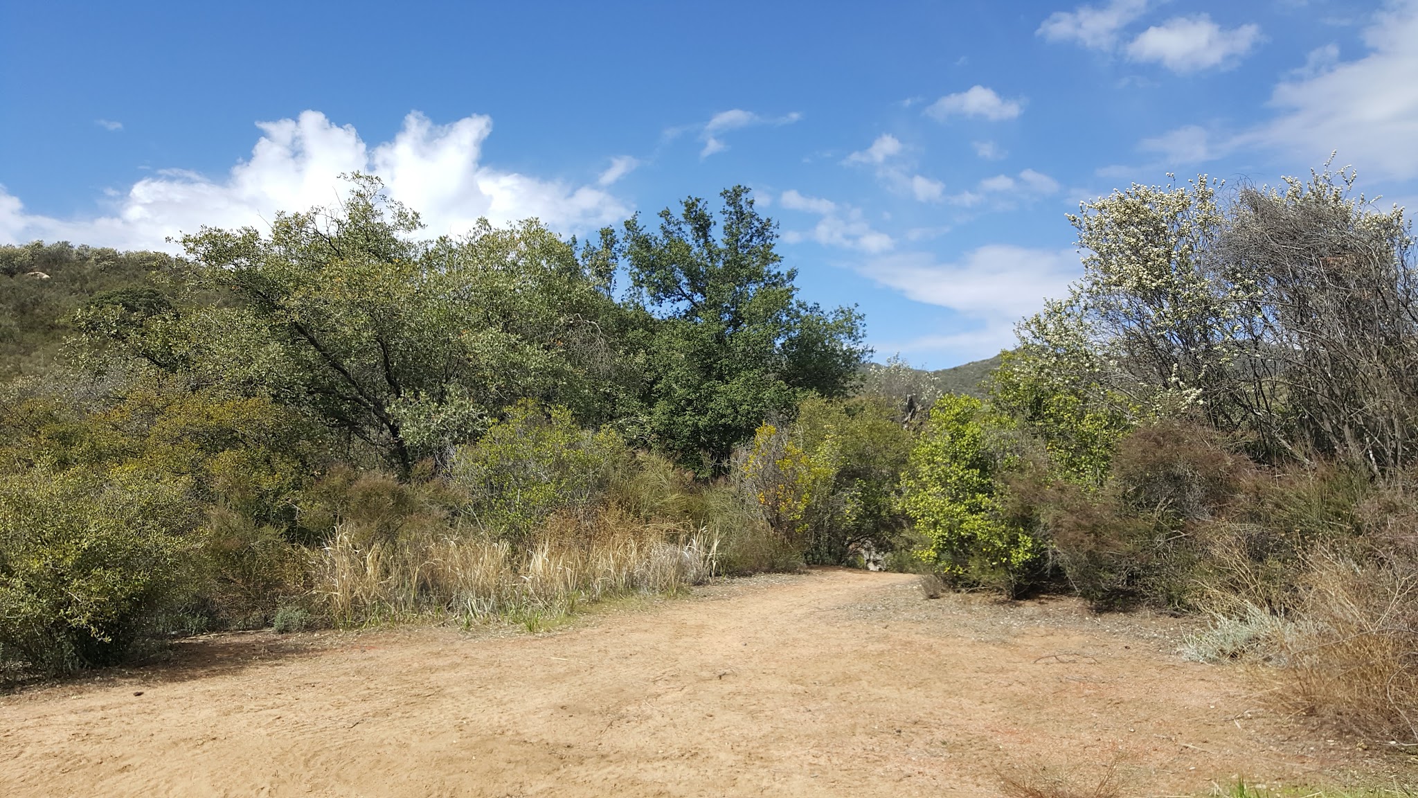 Wildomar Campground