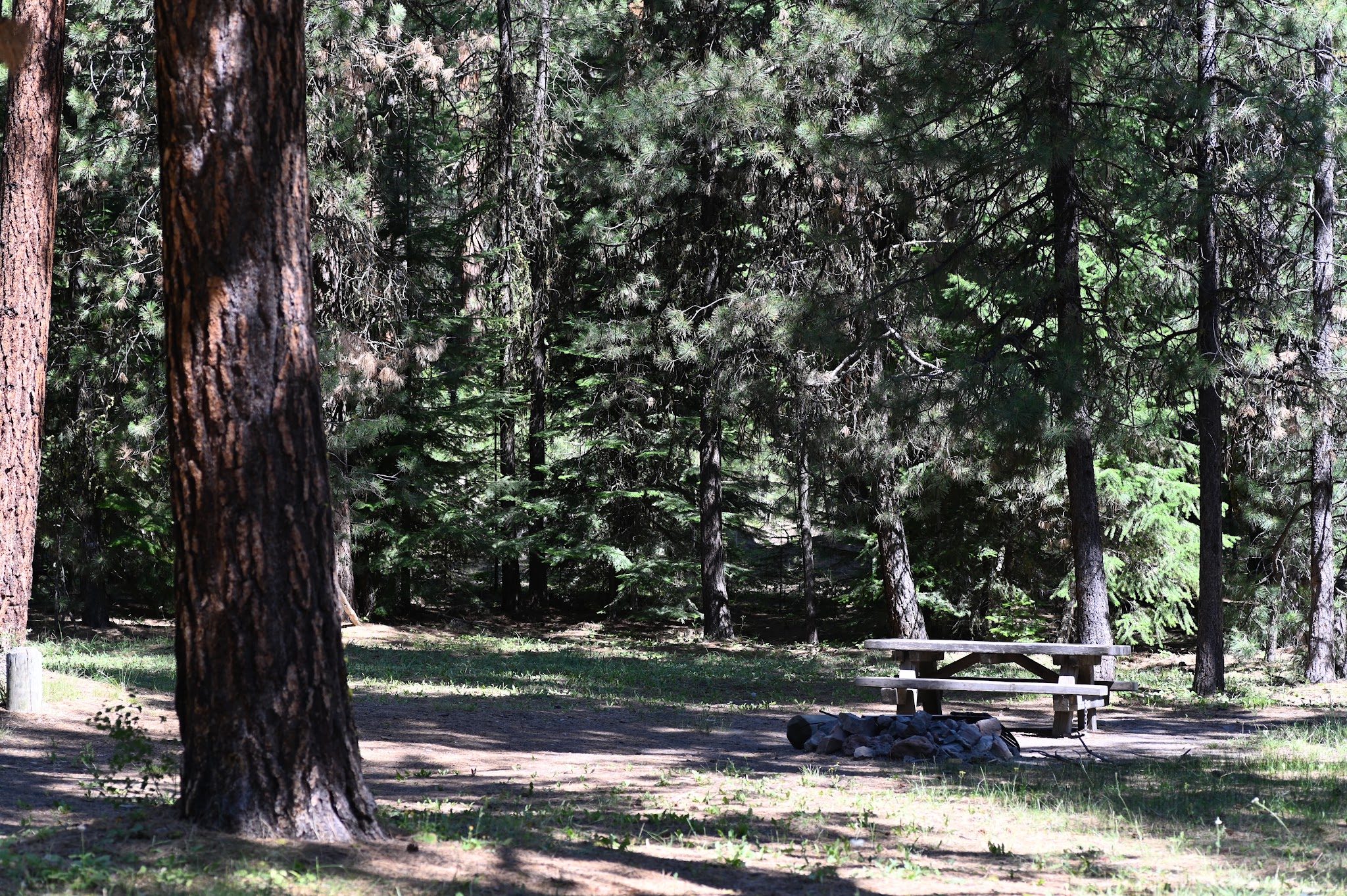Wiley Flat Campground