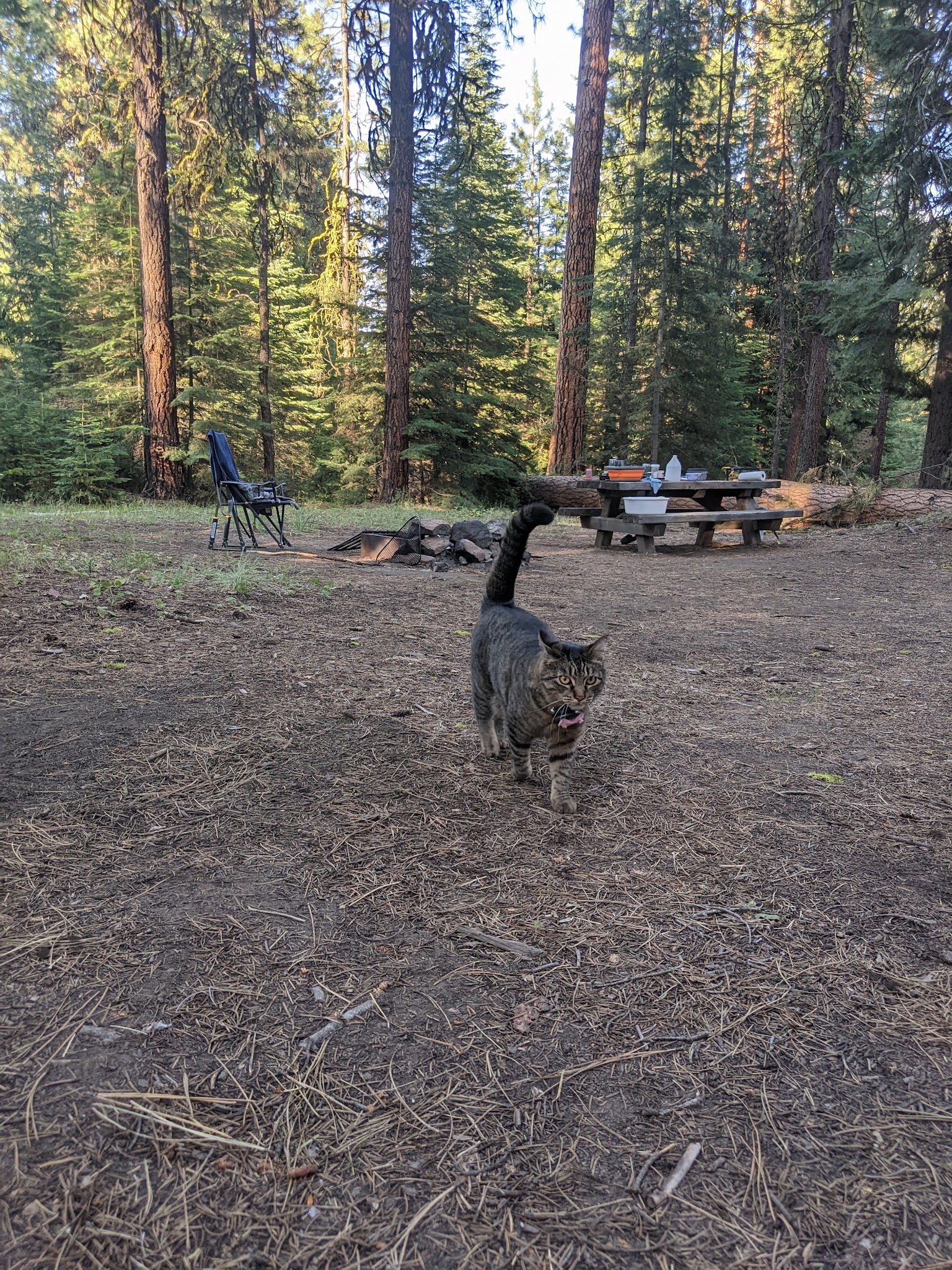 Wiley Flat Campground