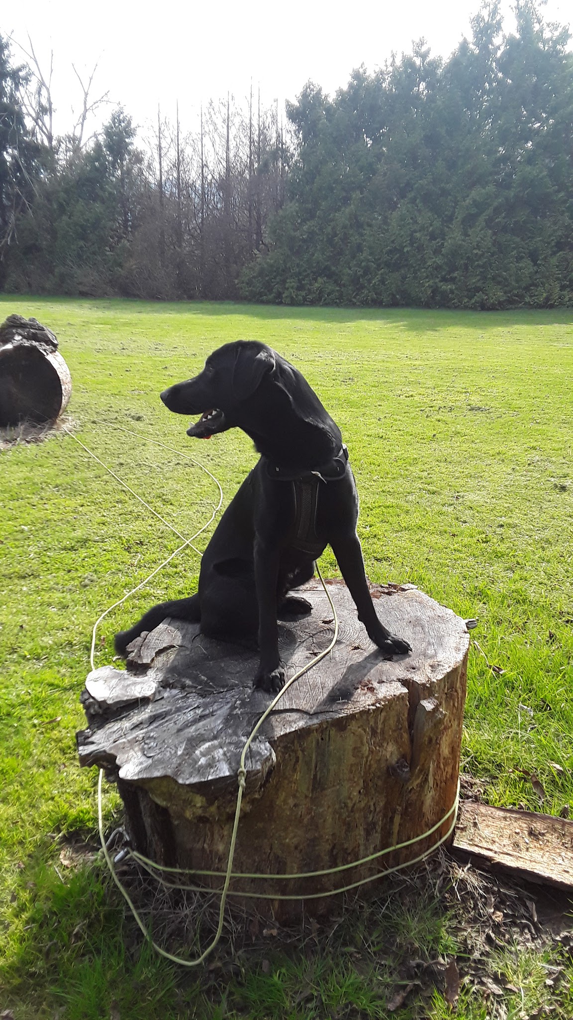 Willamette Narrows Forest Natural Sup Campground