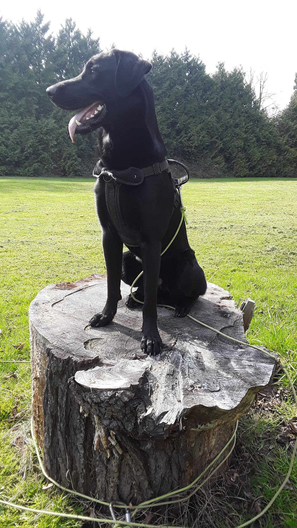 Willamette Narrows Forest Natural Sup Campground