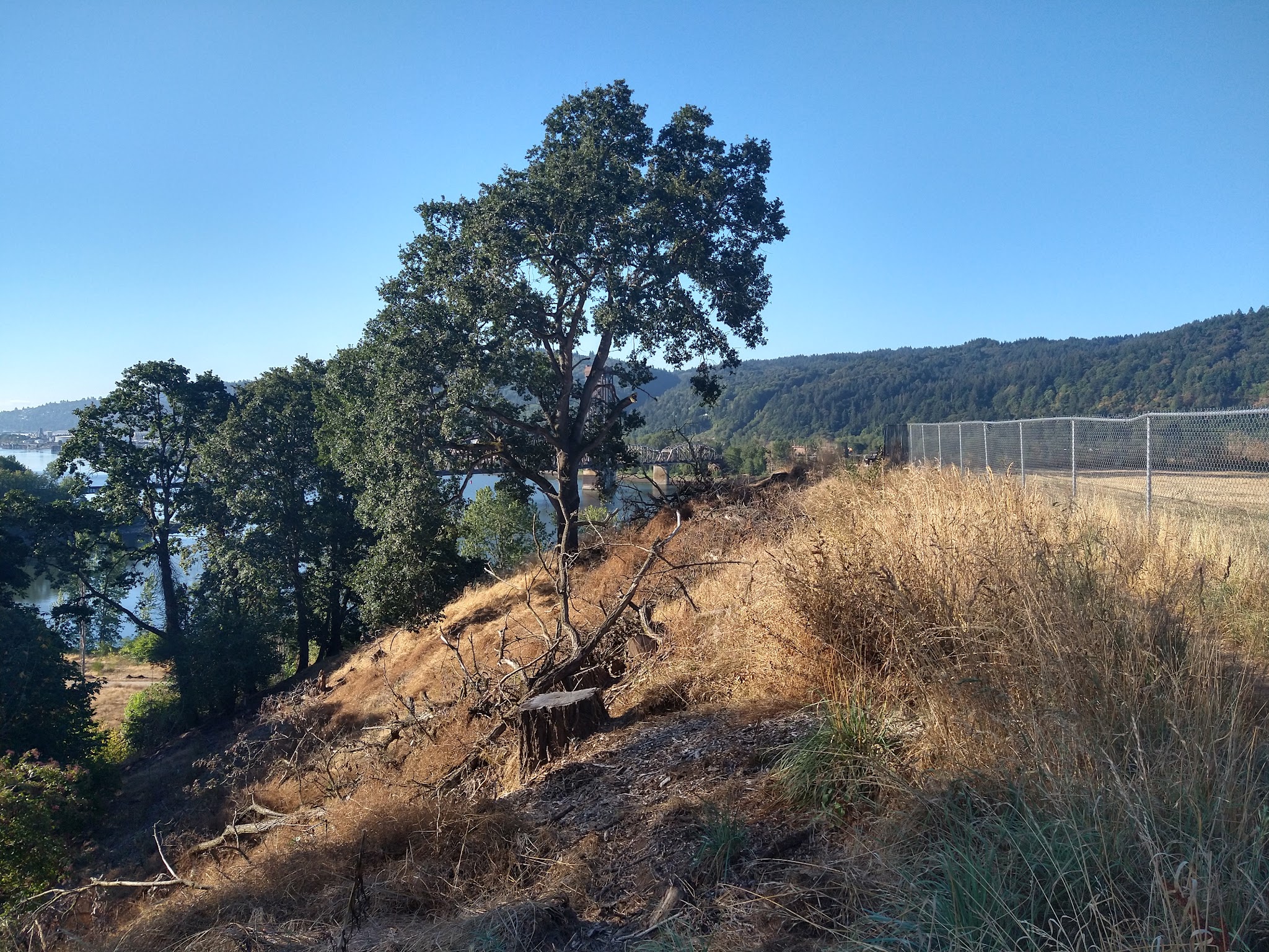 Willamette Cove Natural Sup Campground
