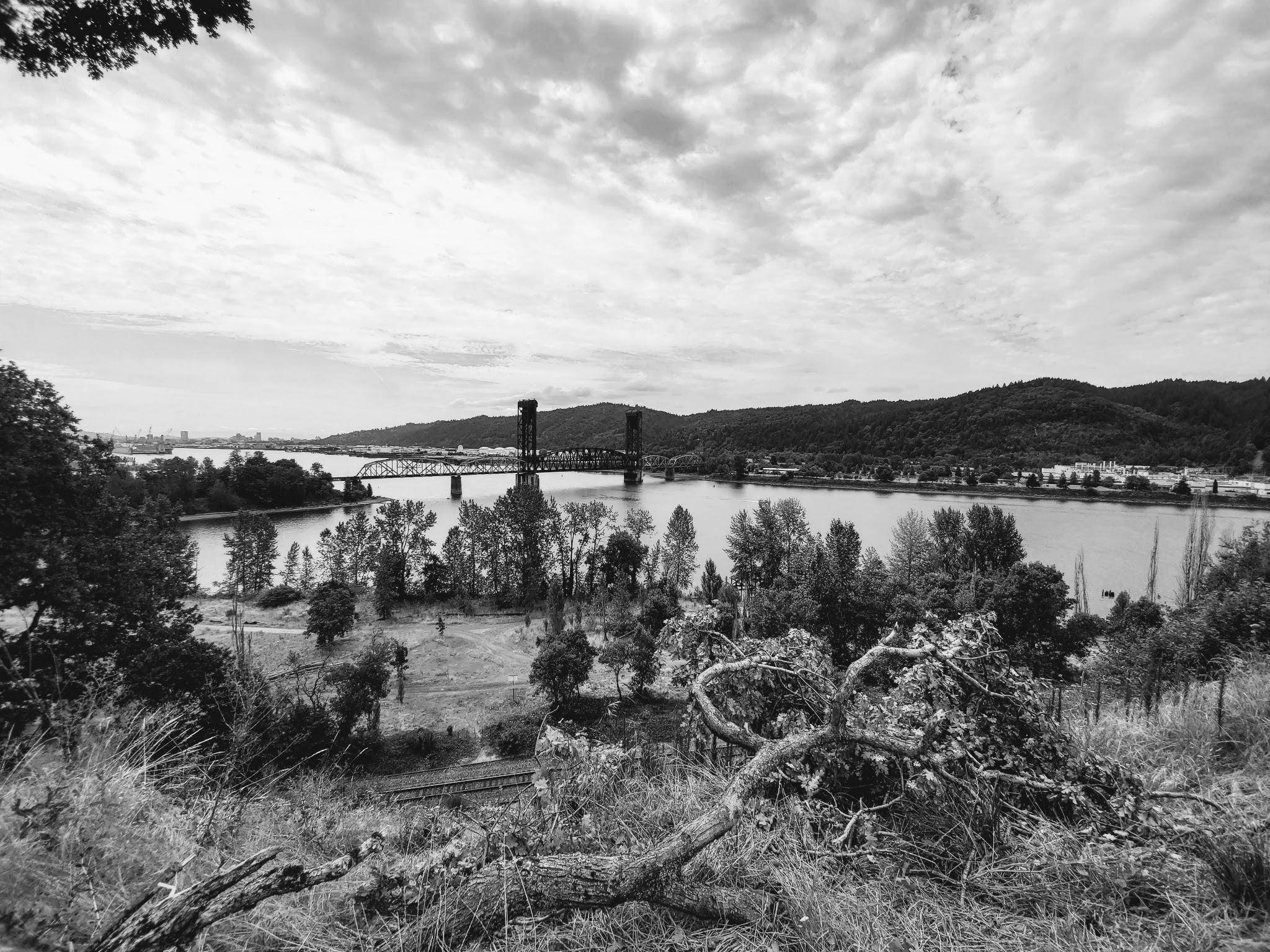 Willamette Cove Natural Sup Campground
