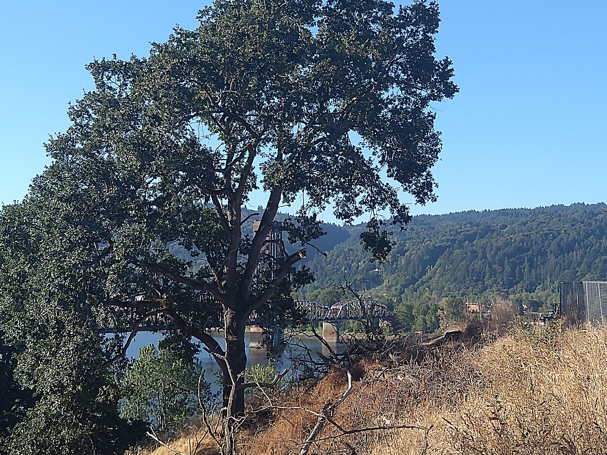 Willamette Cove Natural Sup Campground