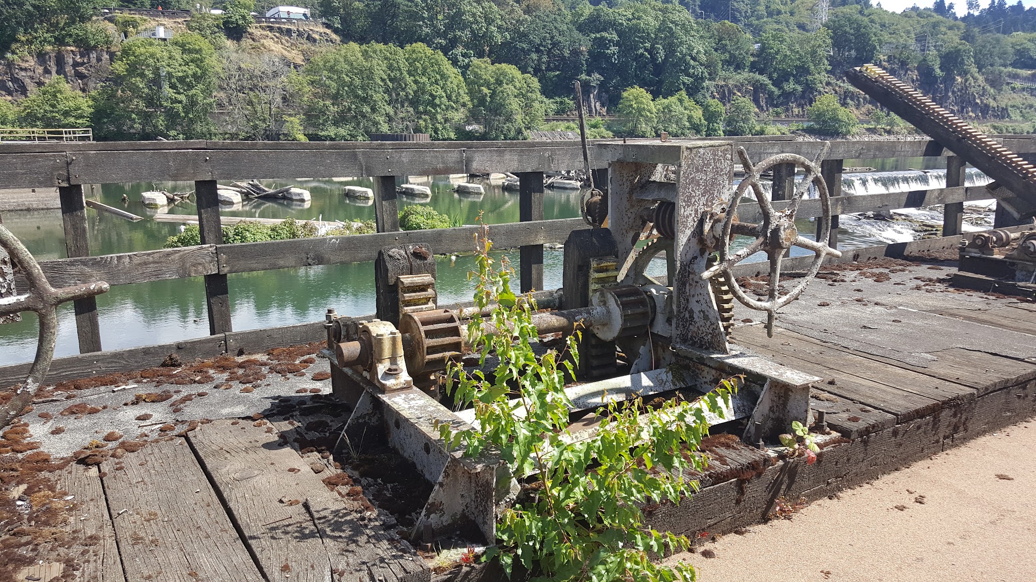 Willamette Falls Legacy Recreation Sup Campground