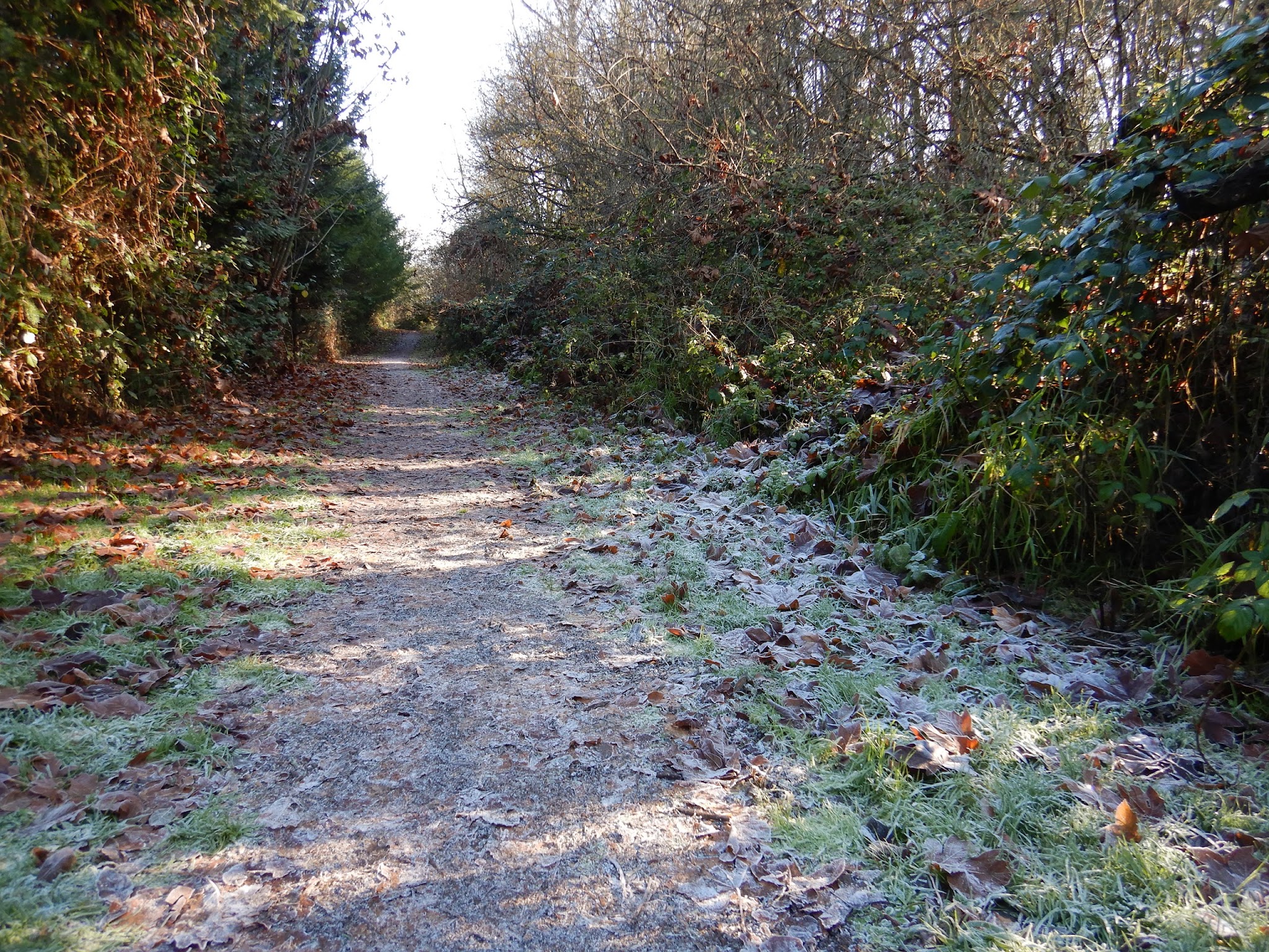 Willamette Mission State Park