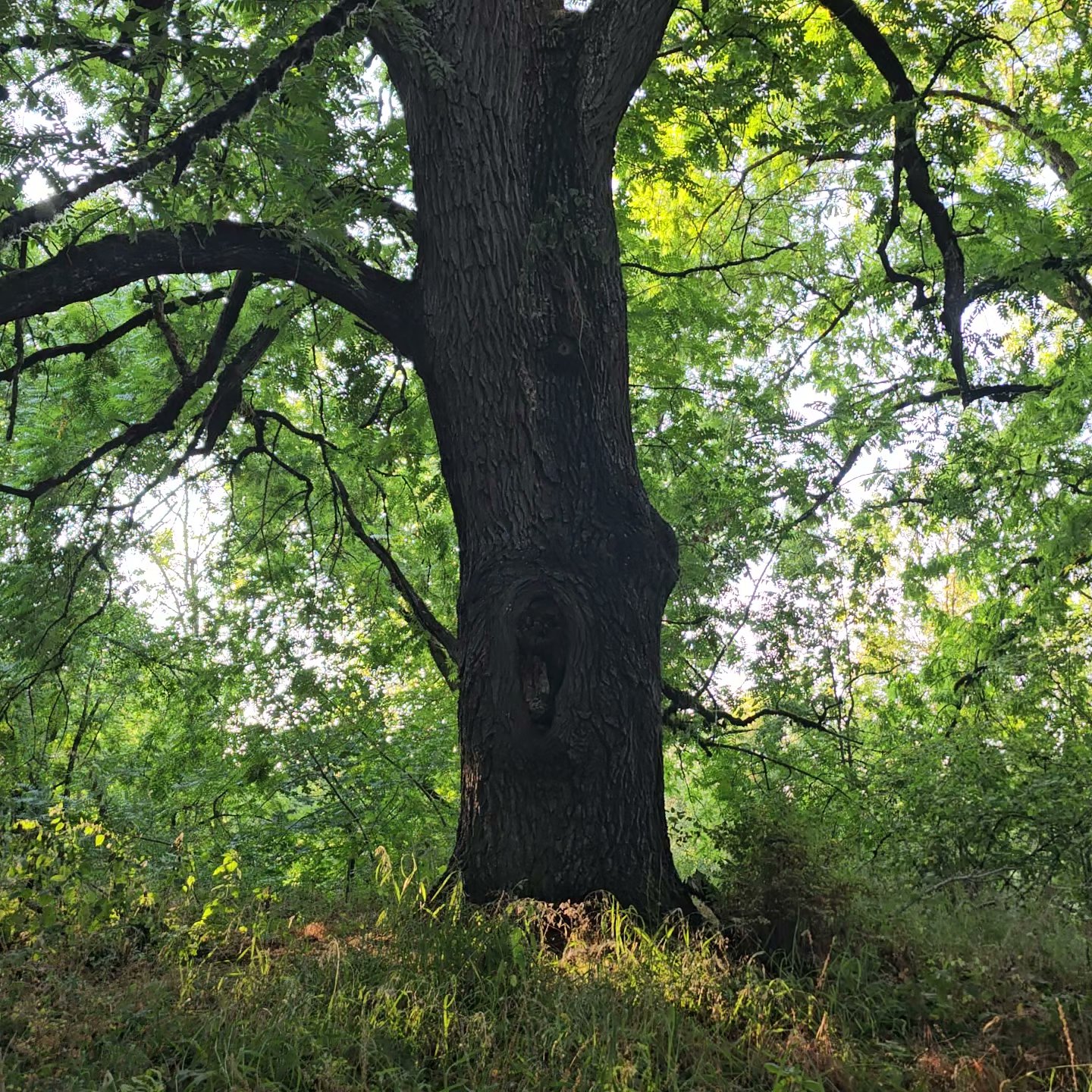 Willamette Mission State Park