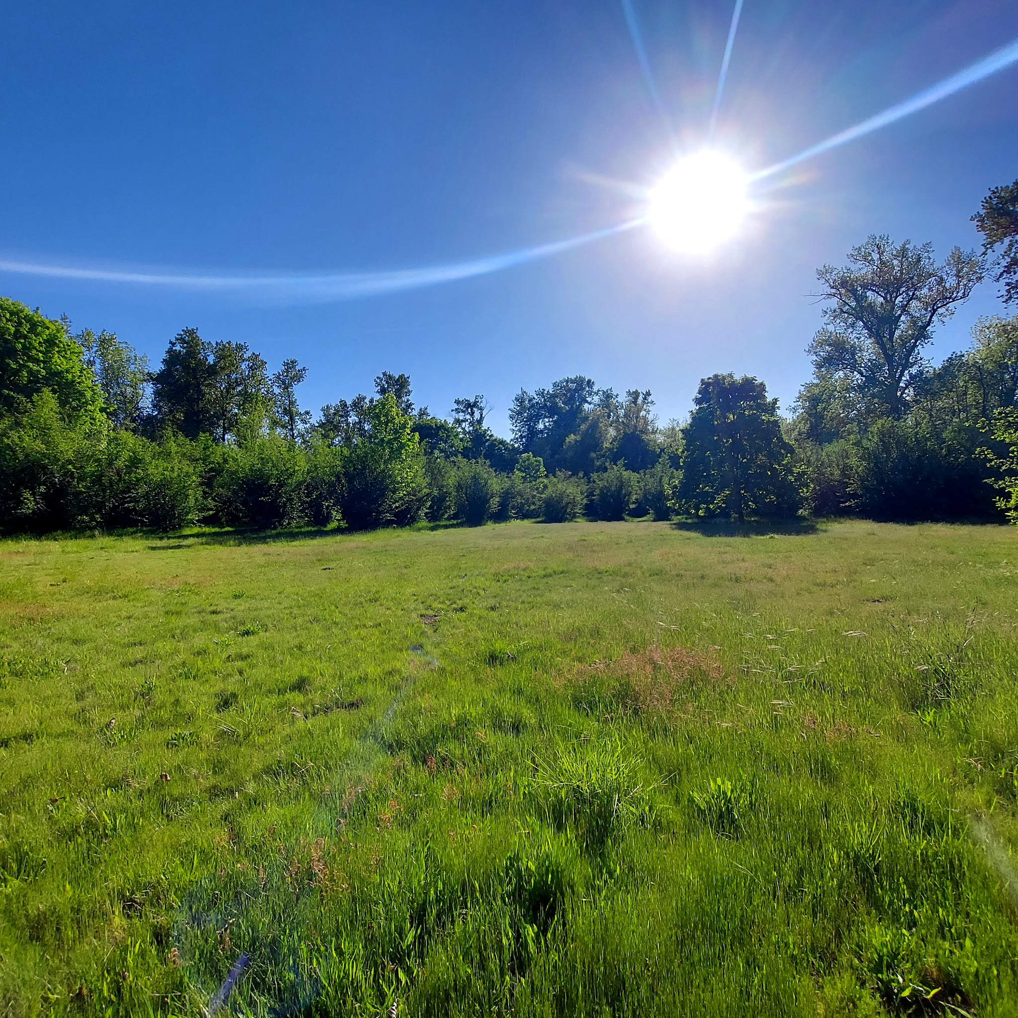Willamette Mission State Park