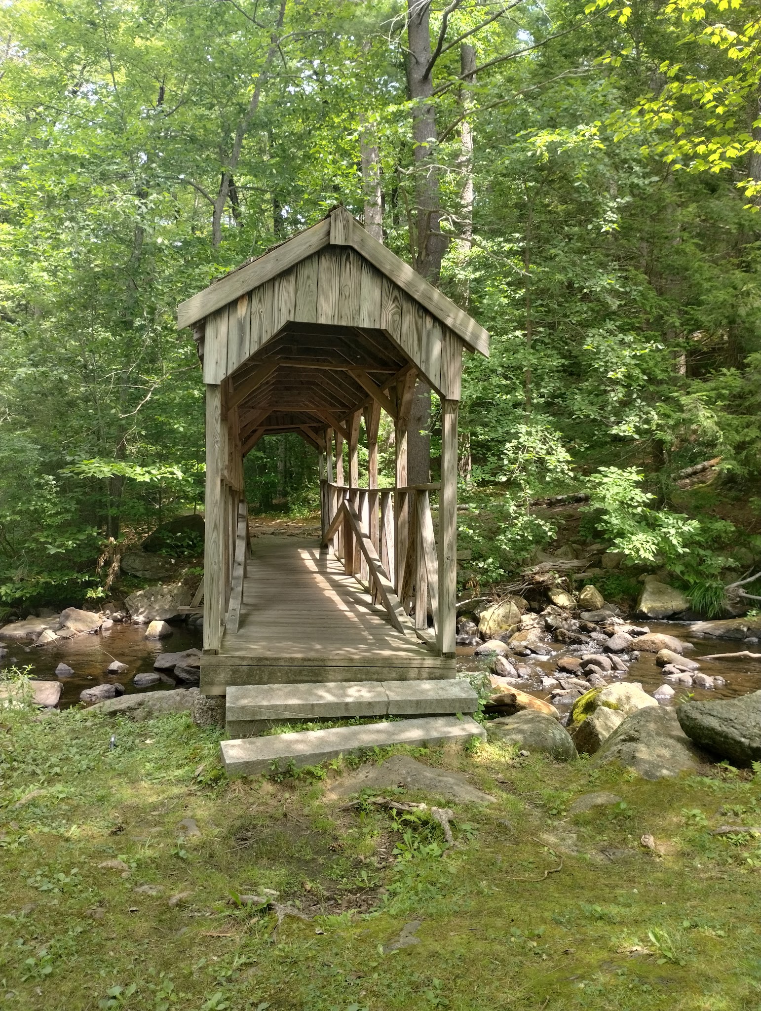 Willard Brook State Forest