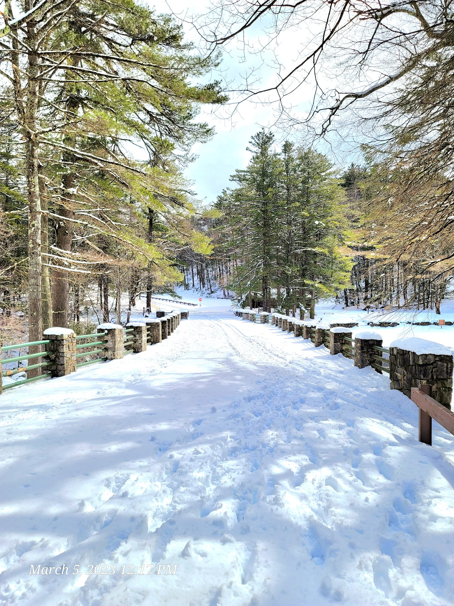 Willard Brook State Forest