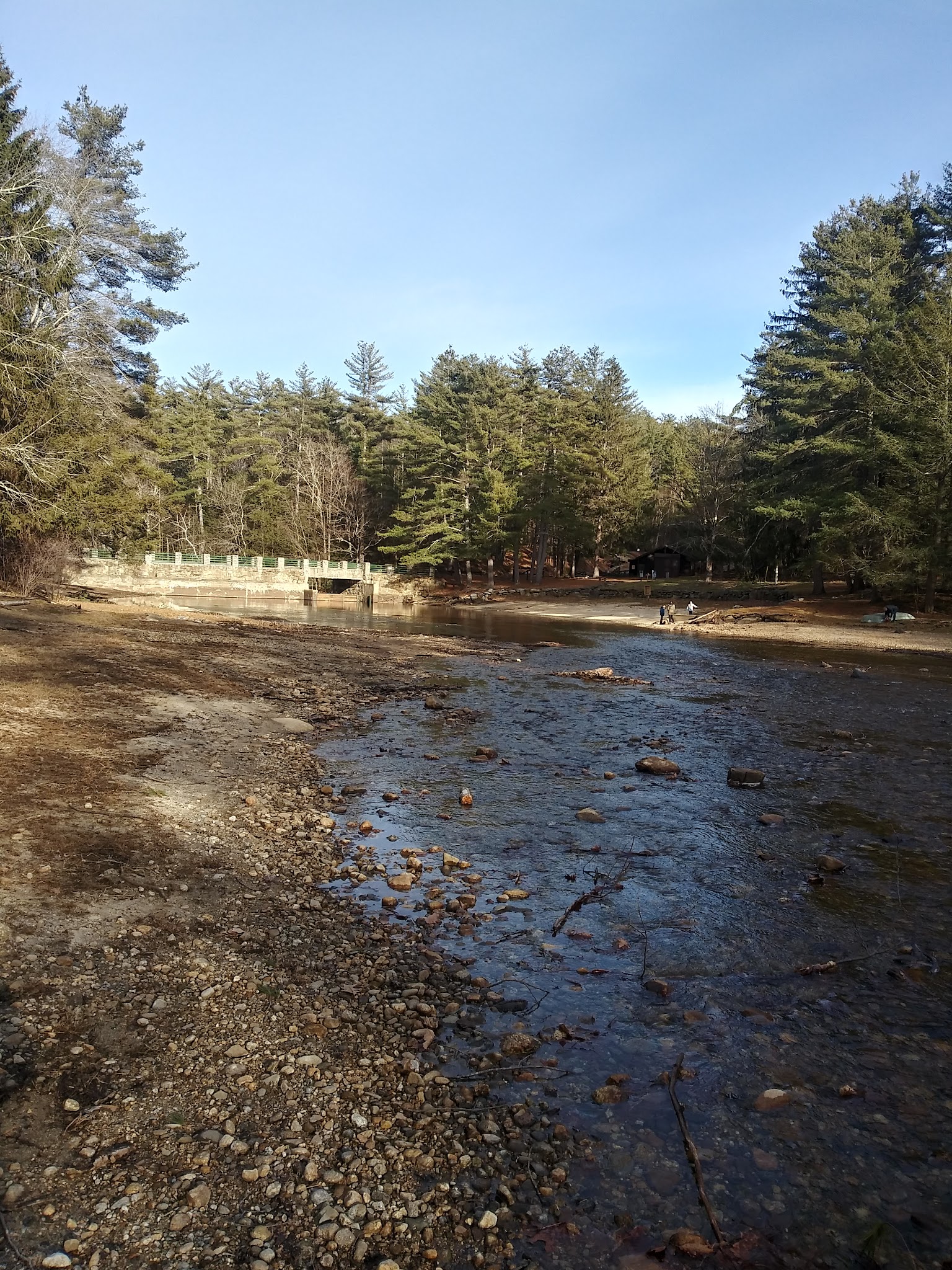 Willard Brook State Forest
