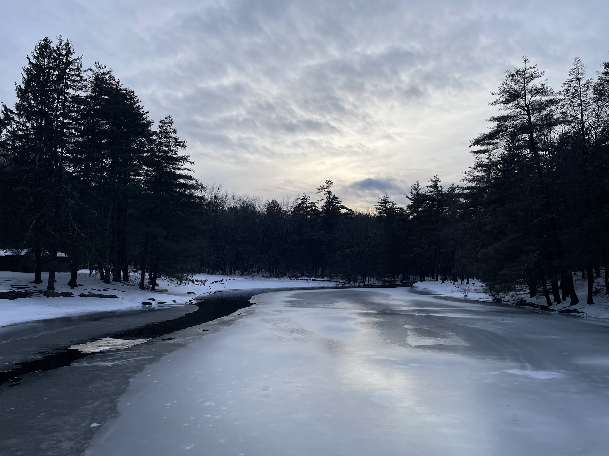 Willard Brook State Forest
