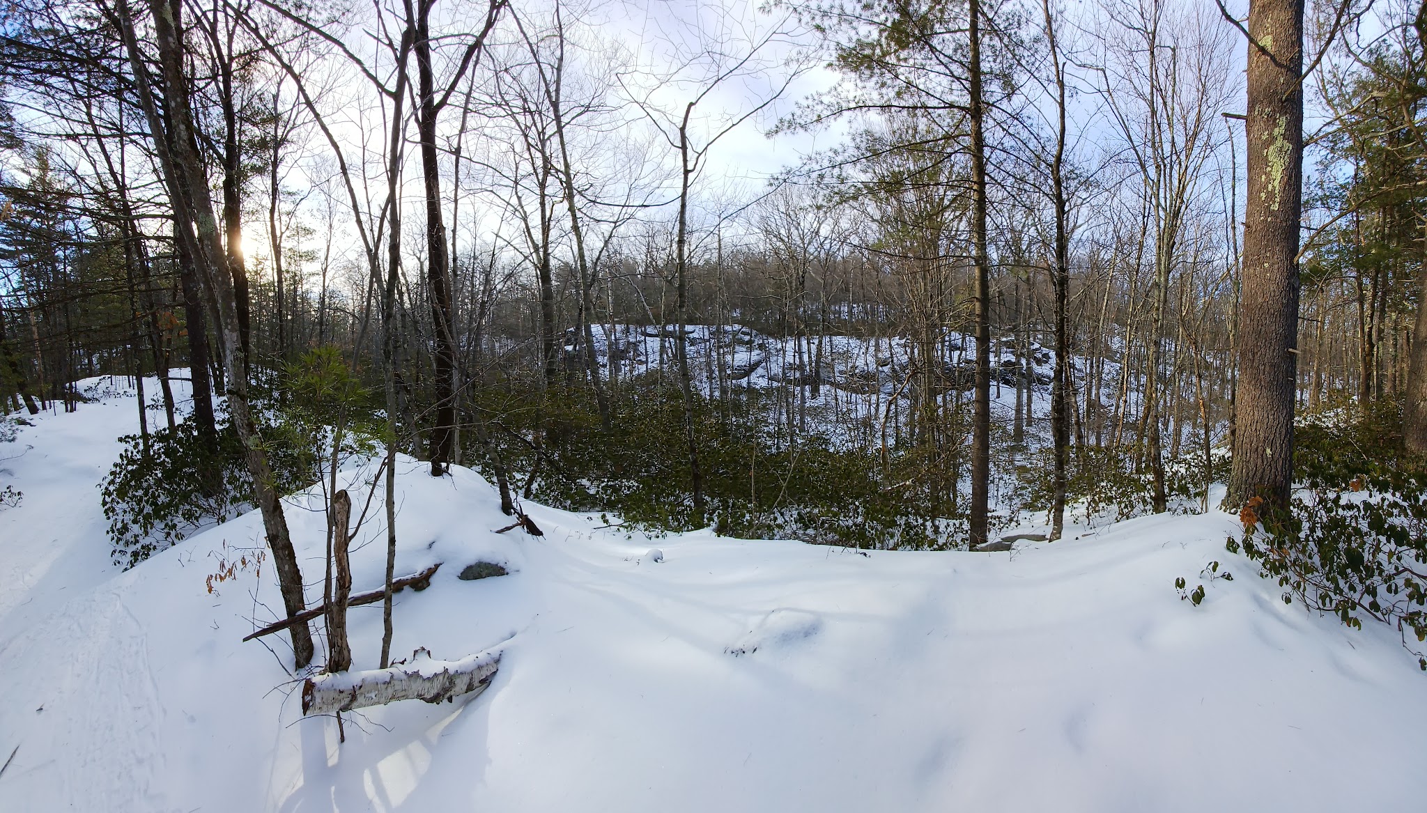 Willard Brook State Forest