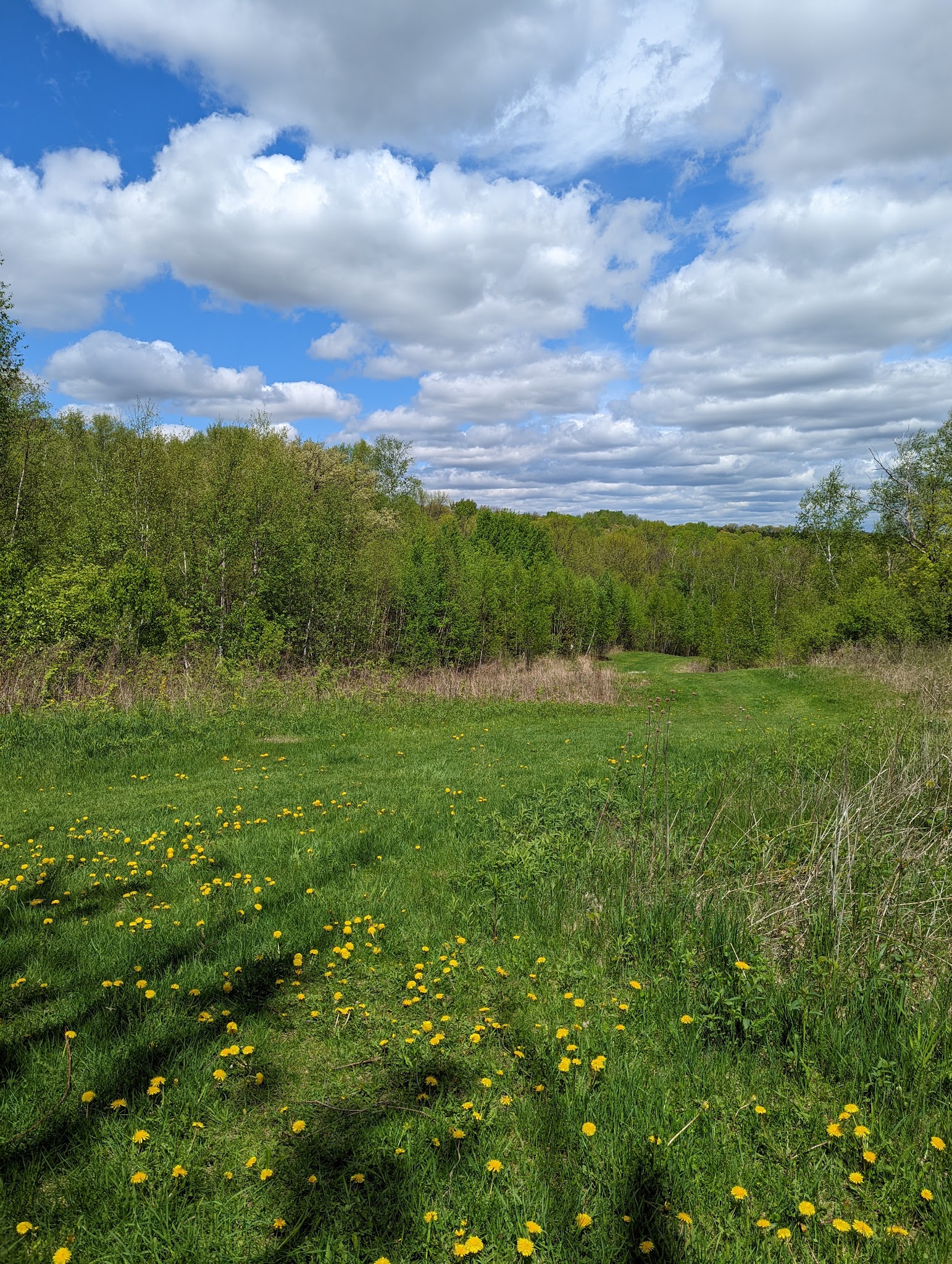 Camper Cabins Campground