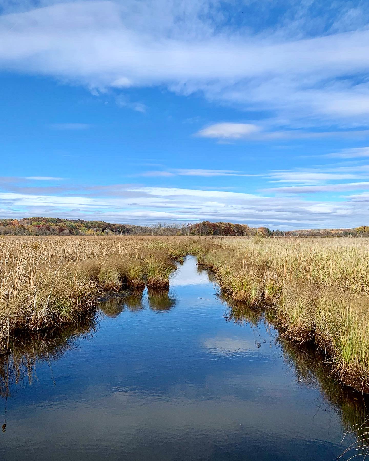 Camper Cabins Campground