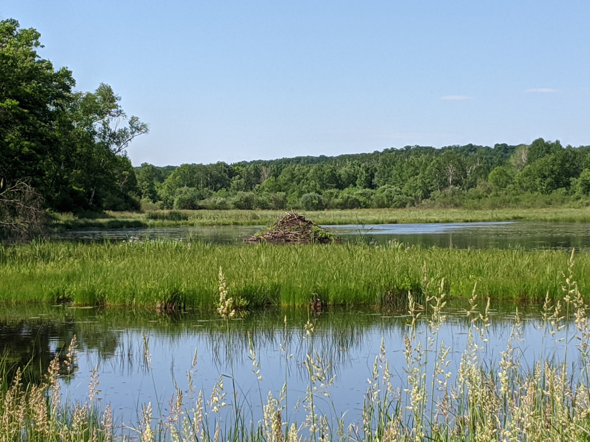 Camper Cabins Campground