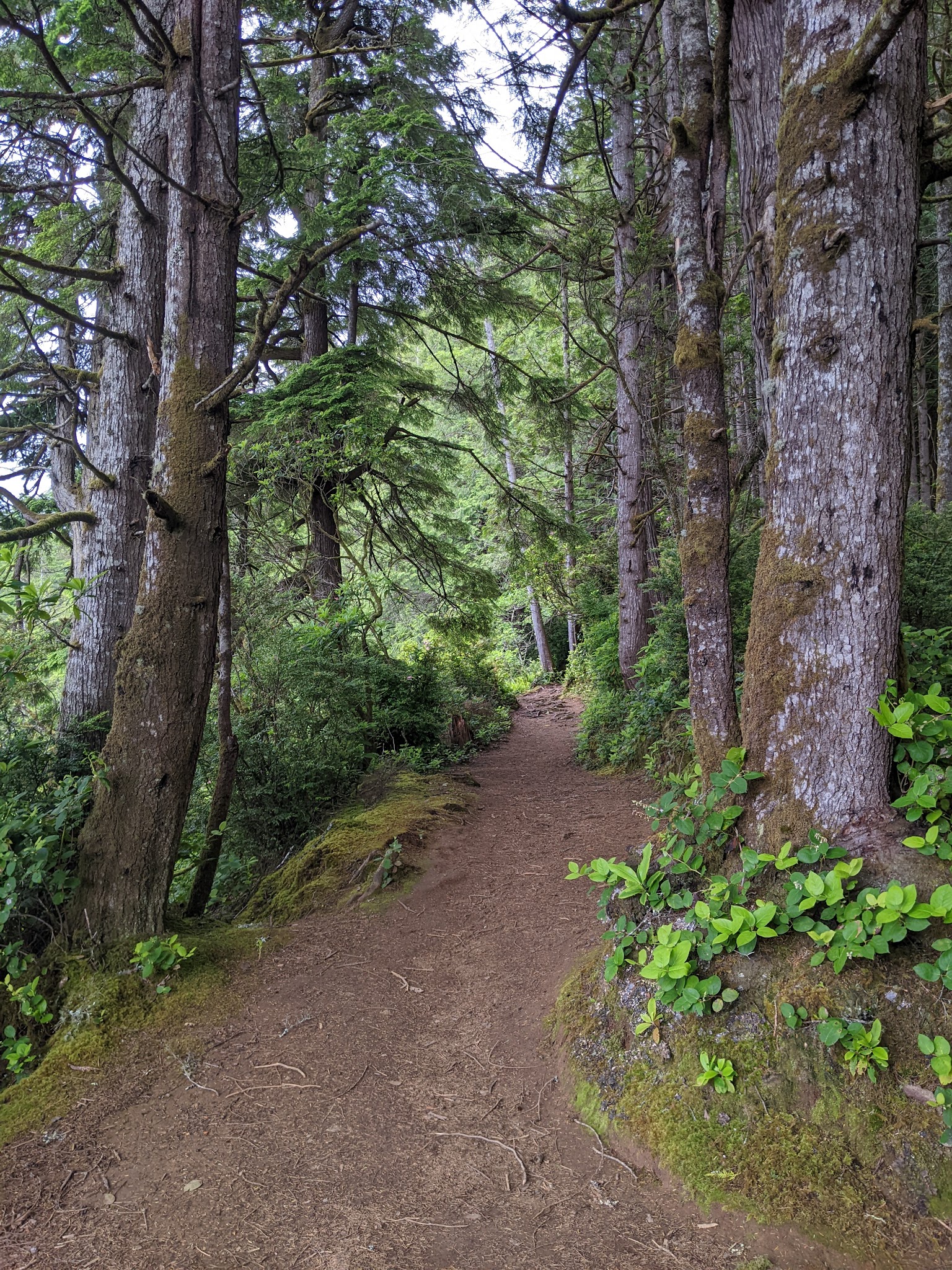 William M. Tugman State Park
