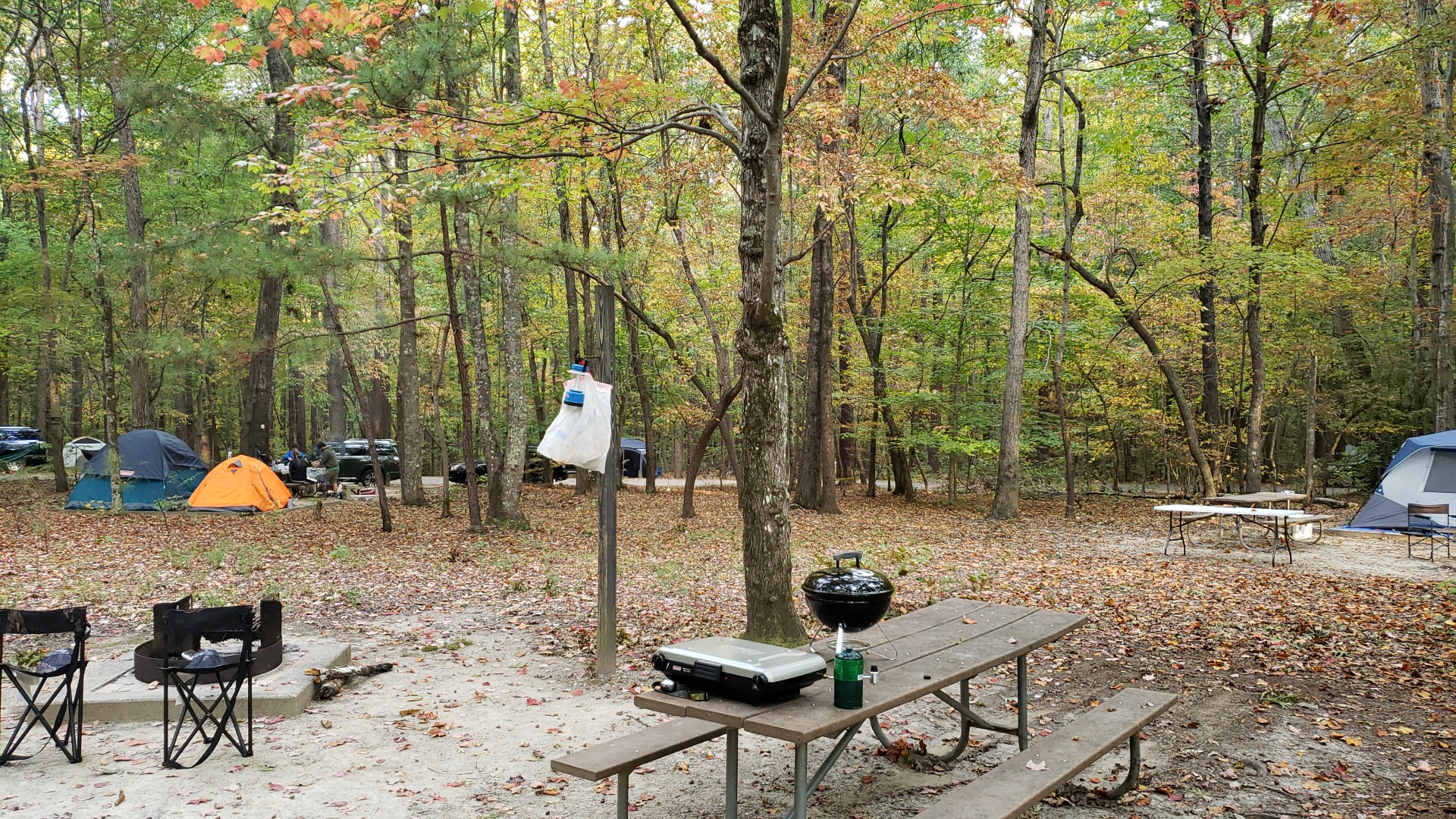William B. Umstead State Park