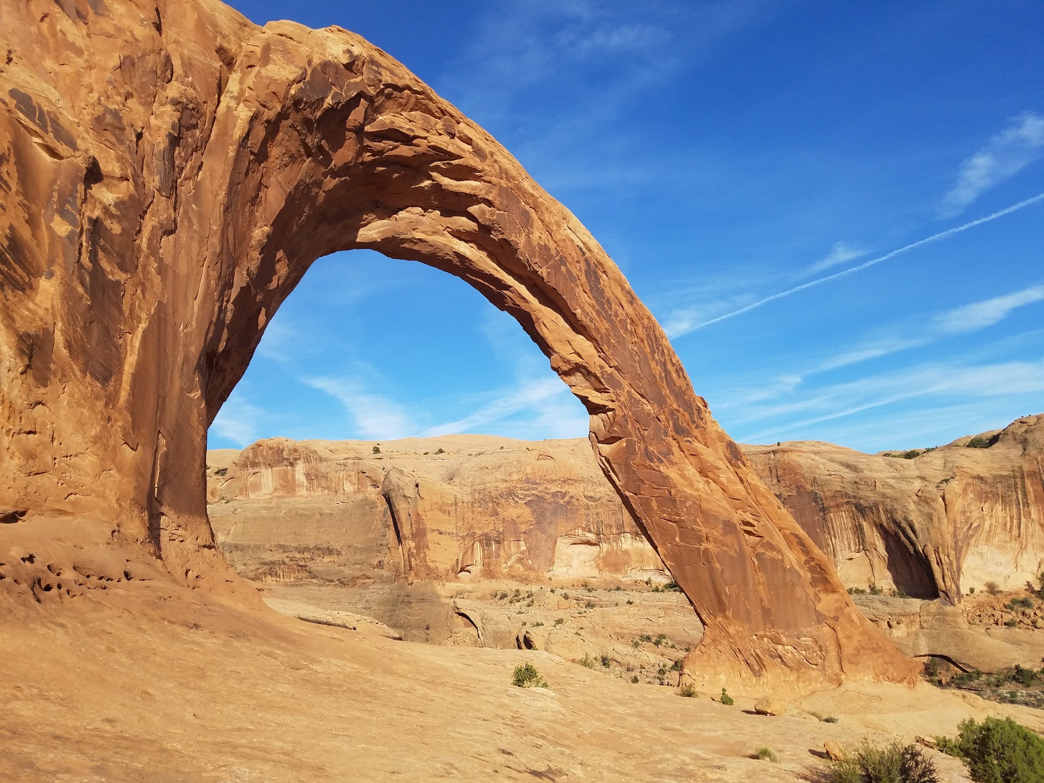 William'S Bottom Campground