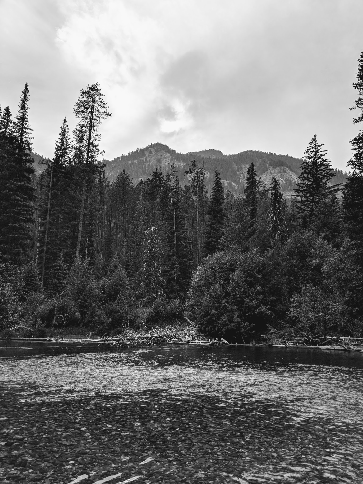 Williamson Campground