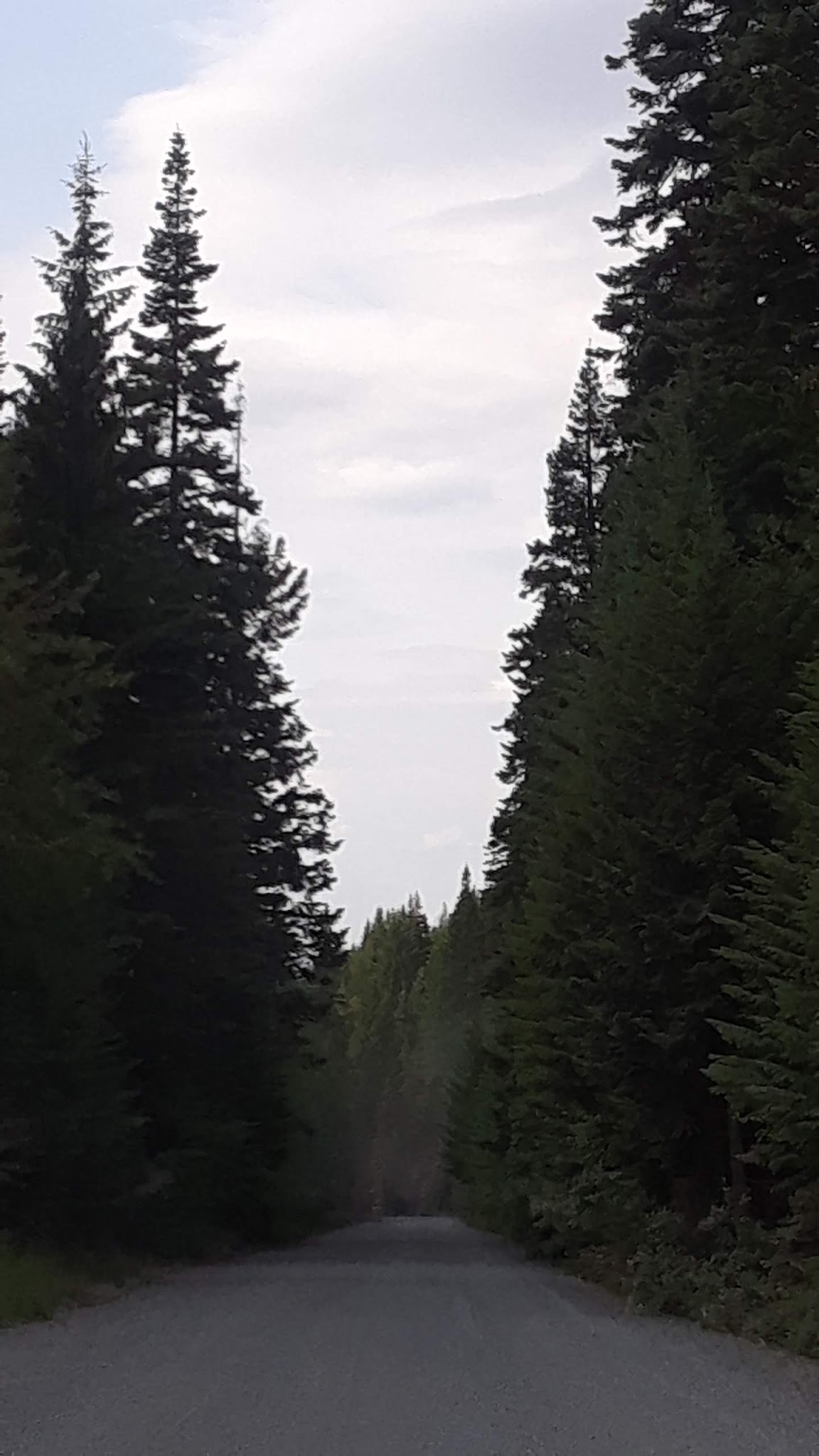 Williamson Campground