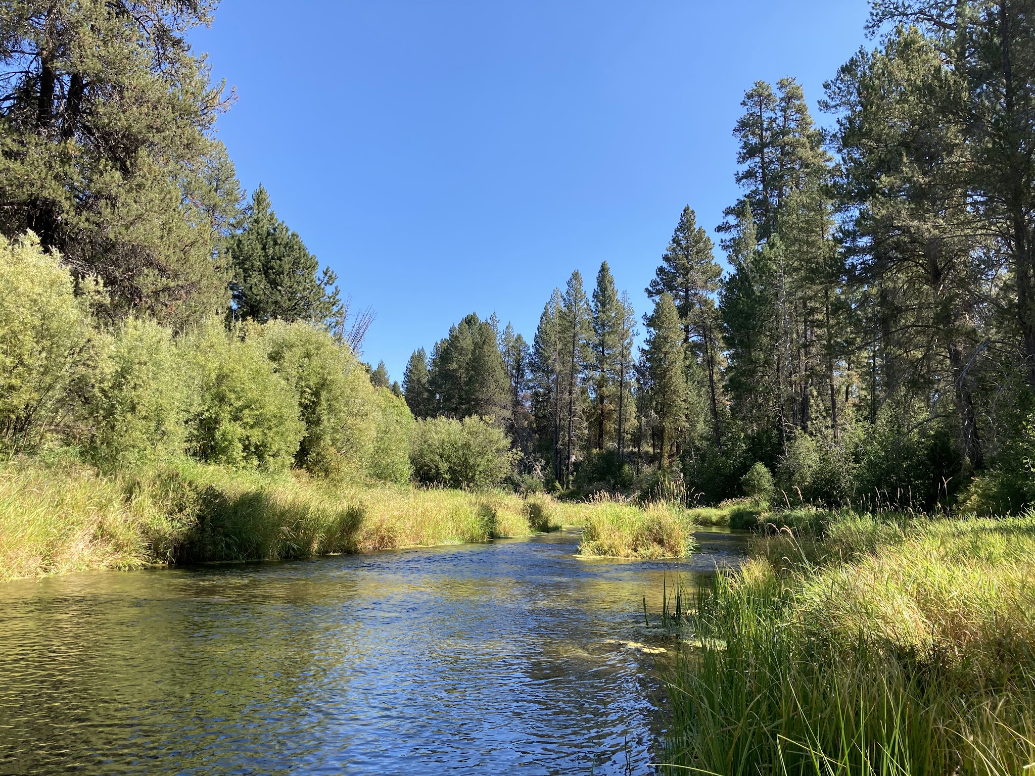 Williamson River Campground