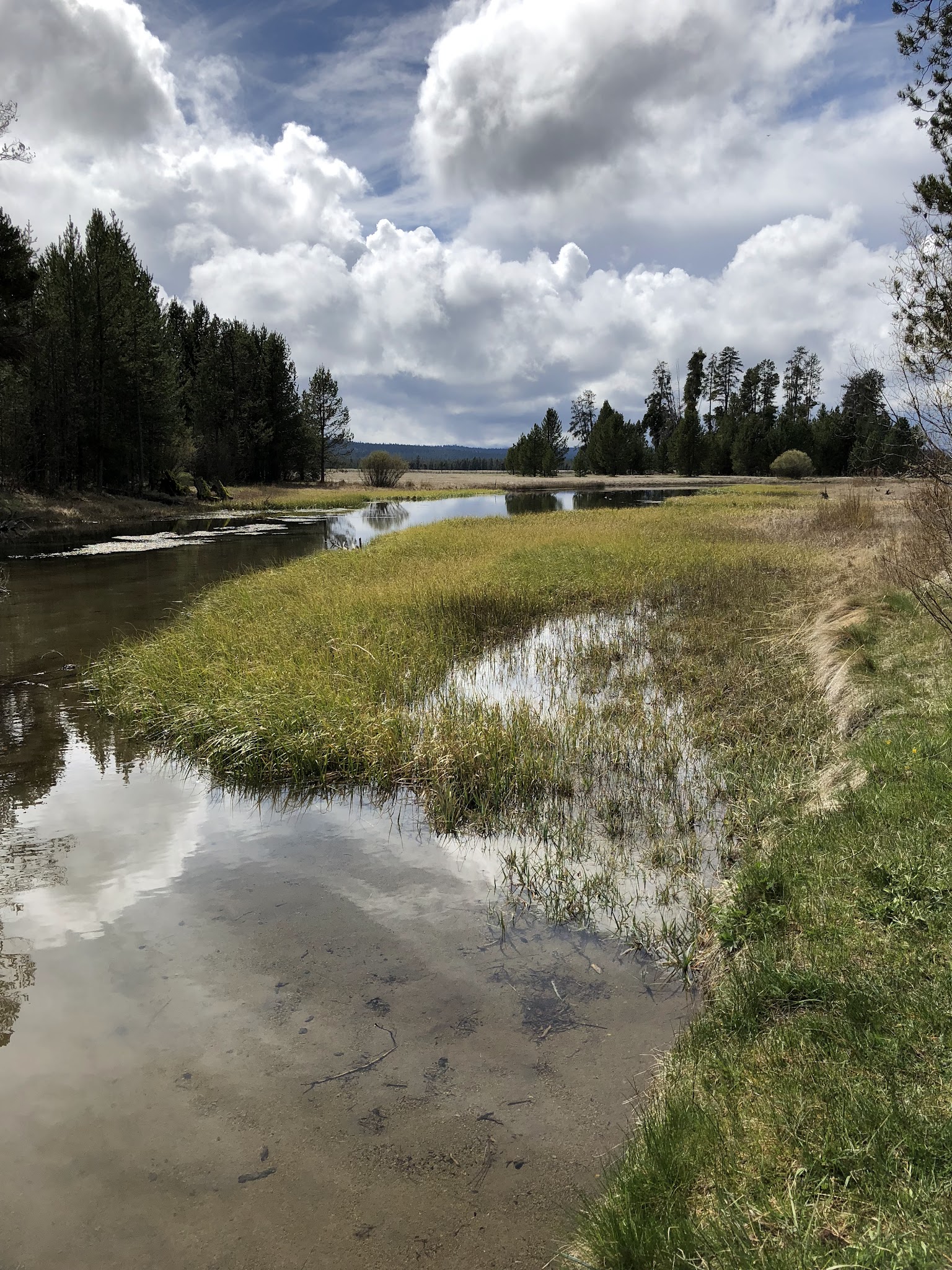 Williamson River Campground
