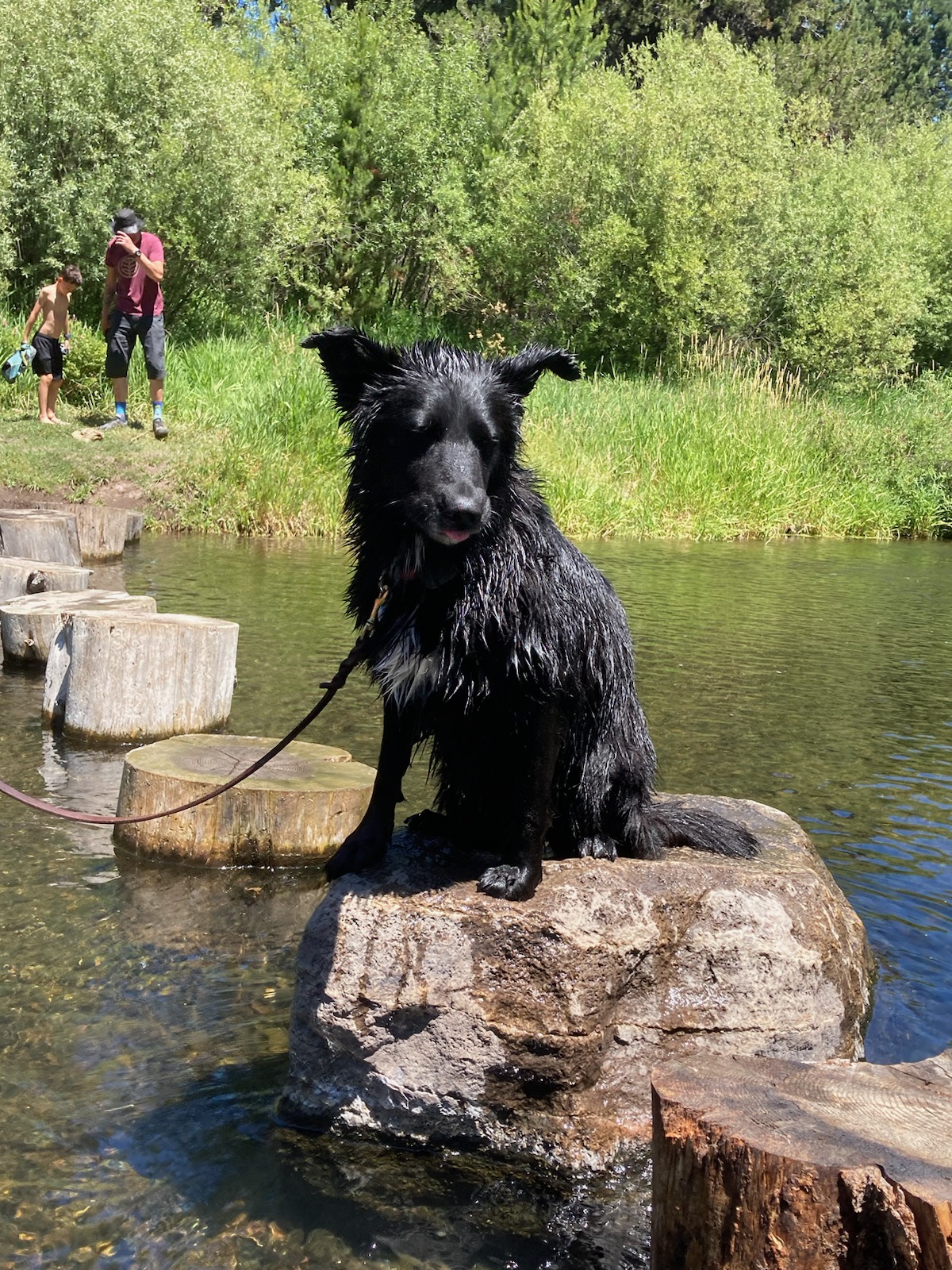 Williamson River Campground