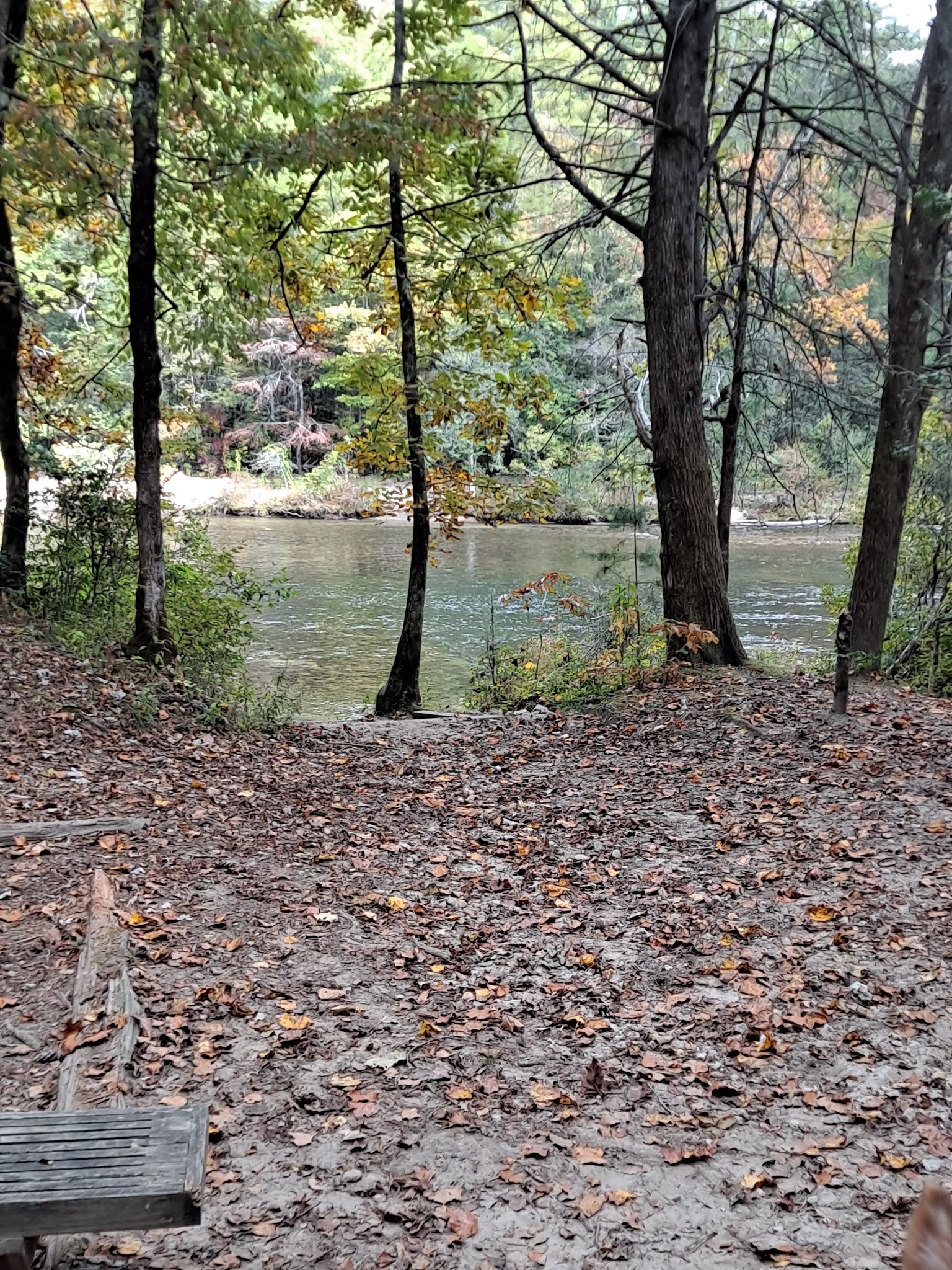 Willis Knob Horse Camp