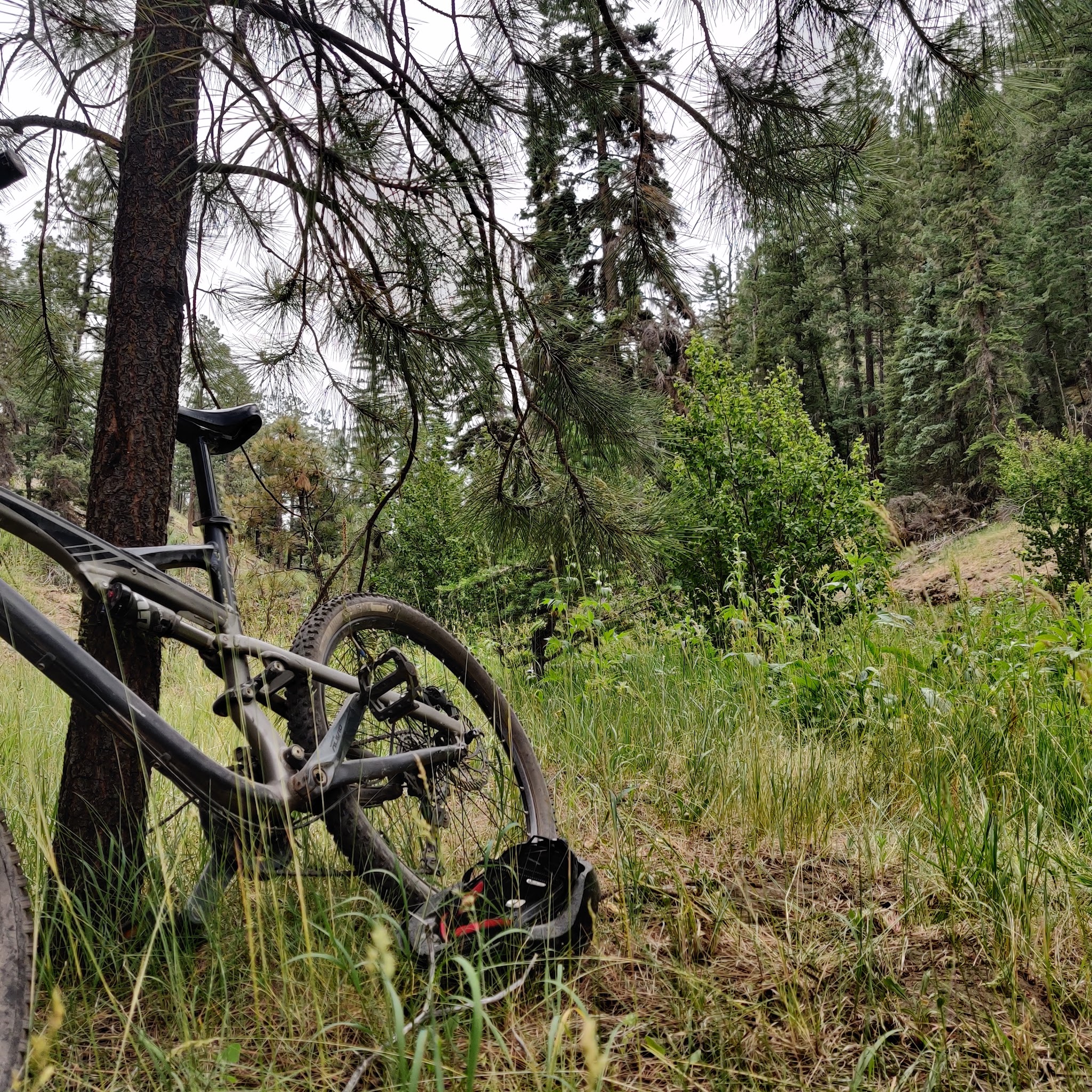 Willow Creek Campground