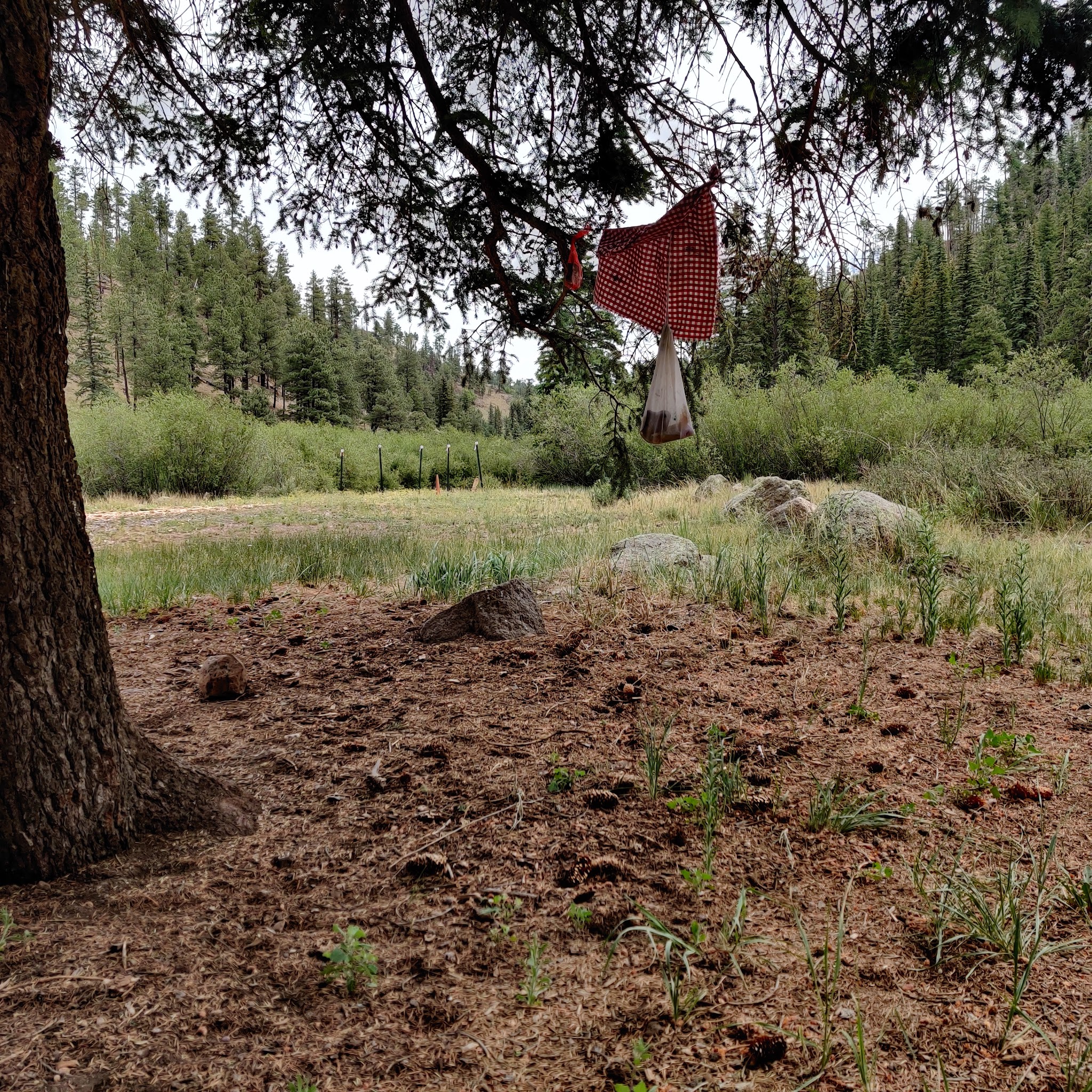 Willow Creek Campground