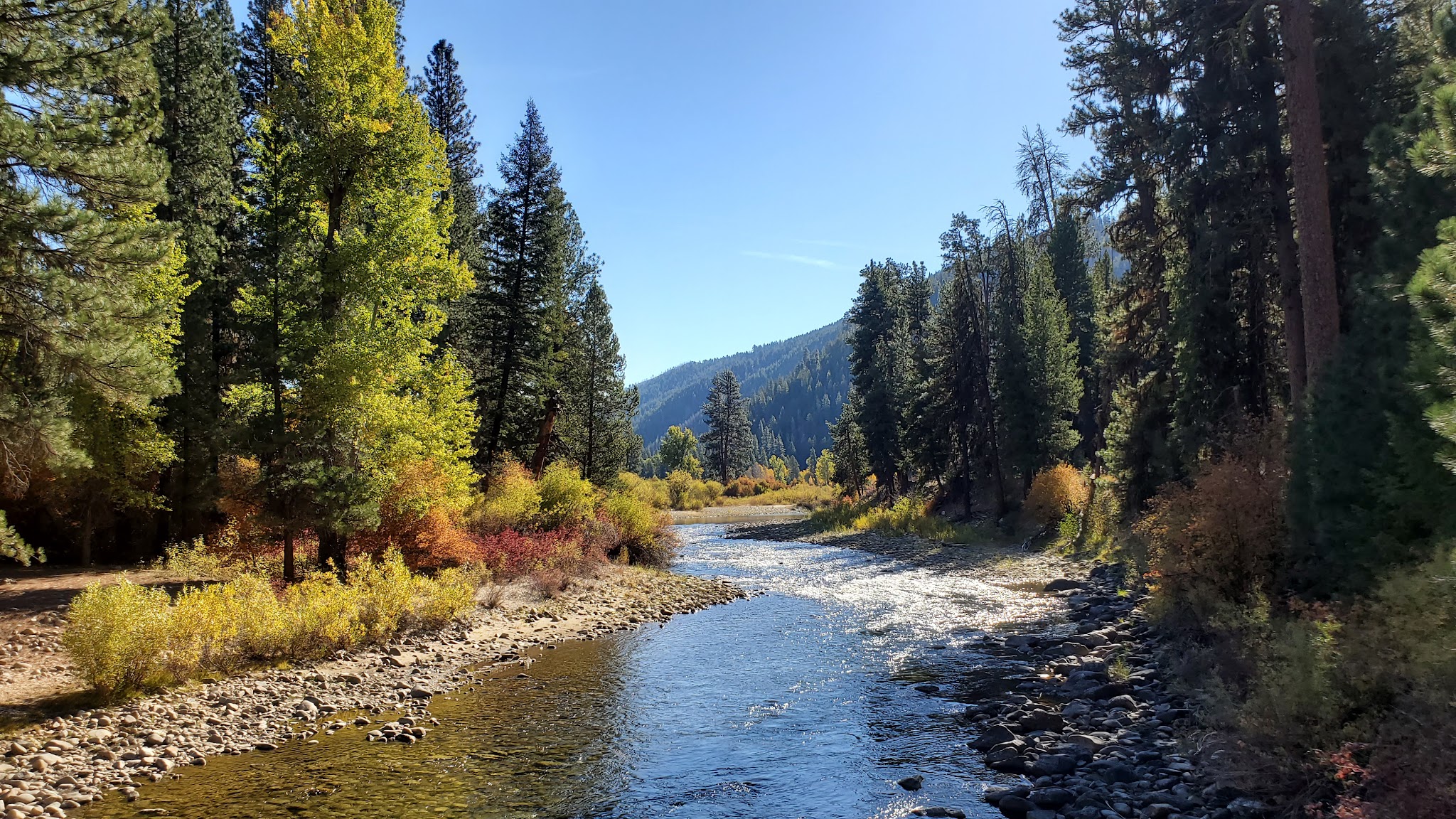 Willow Creek Campground (Idaho City)