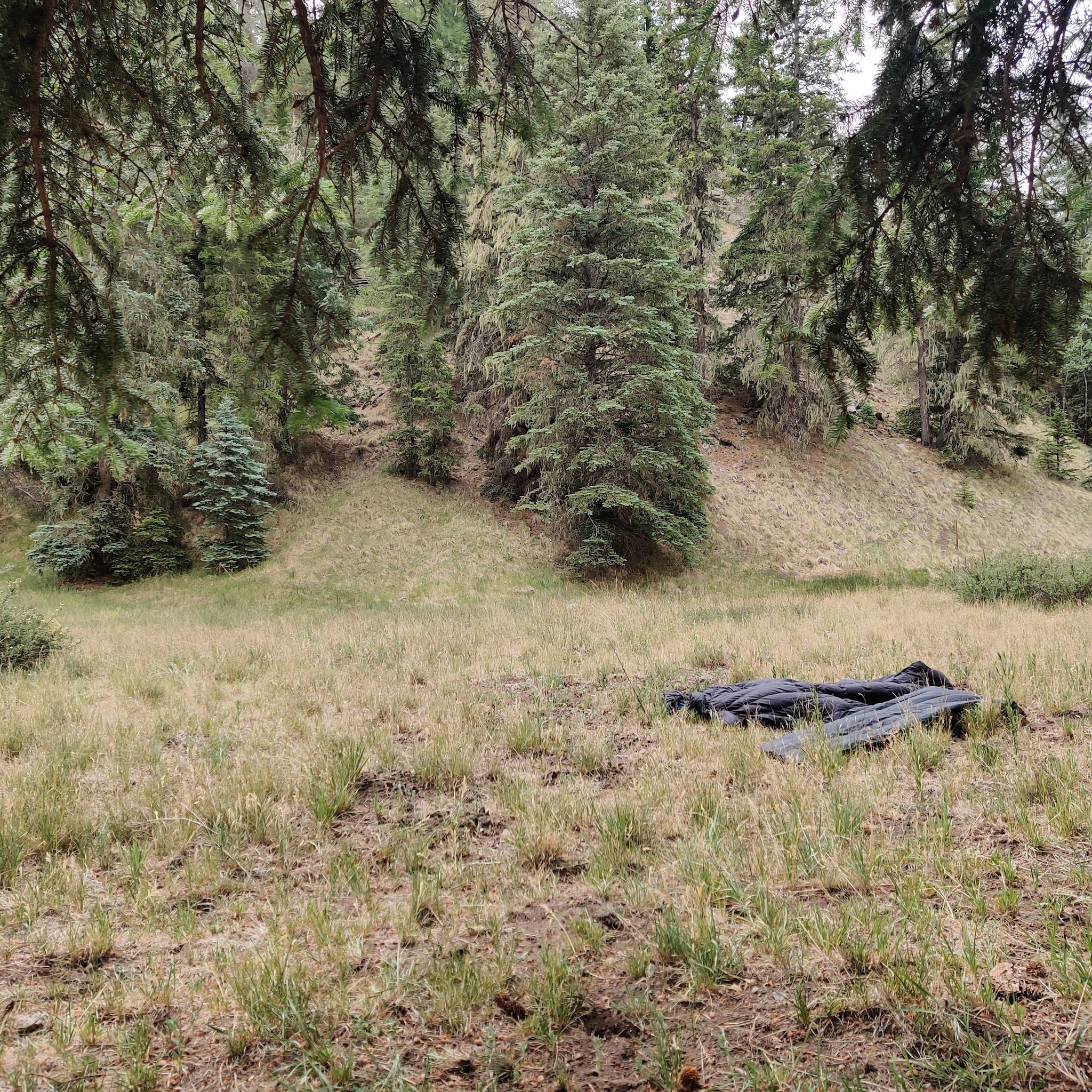 Willow Creek Campground