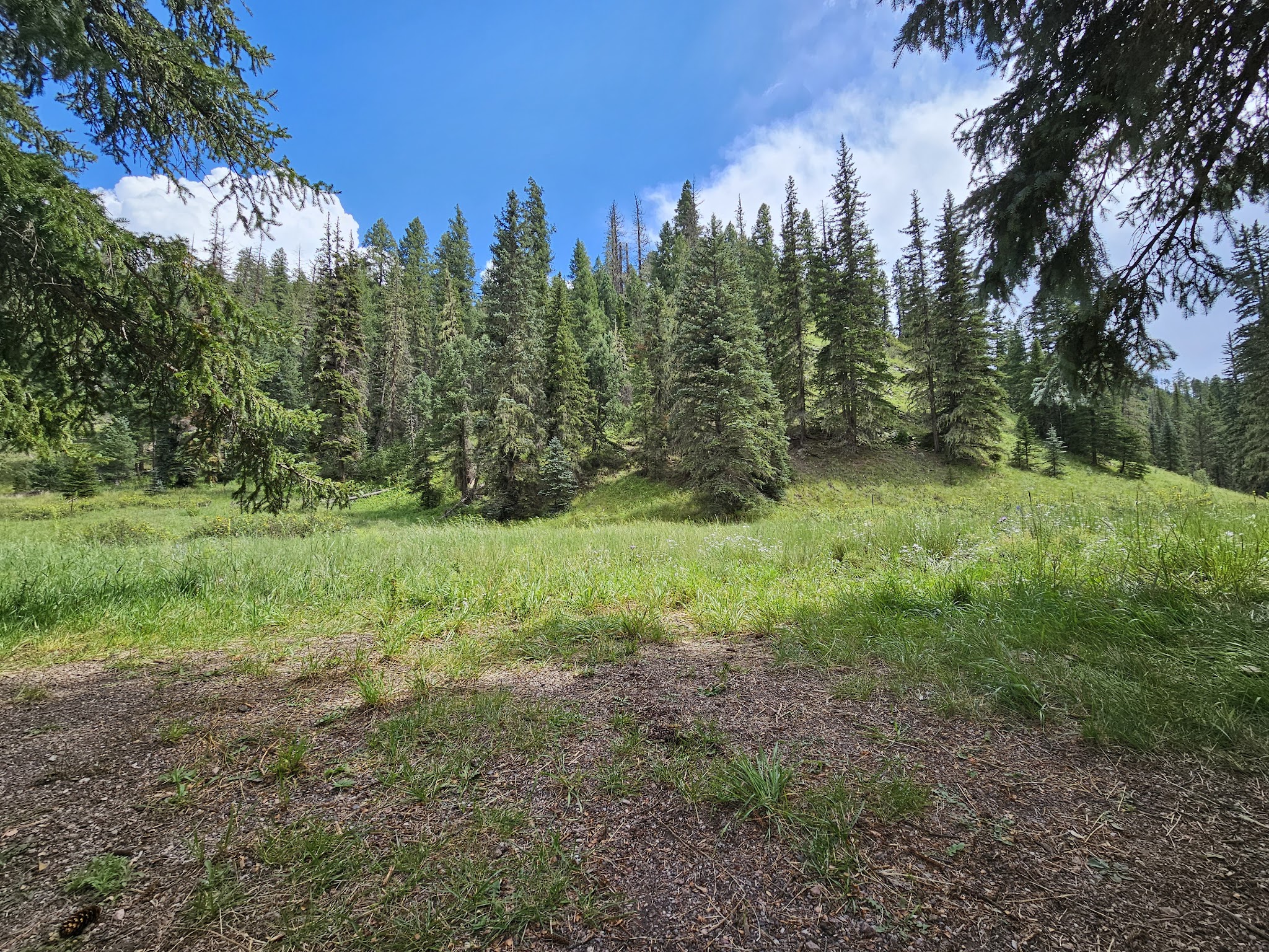 Willow Creek Campground