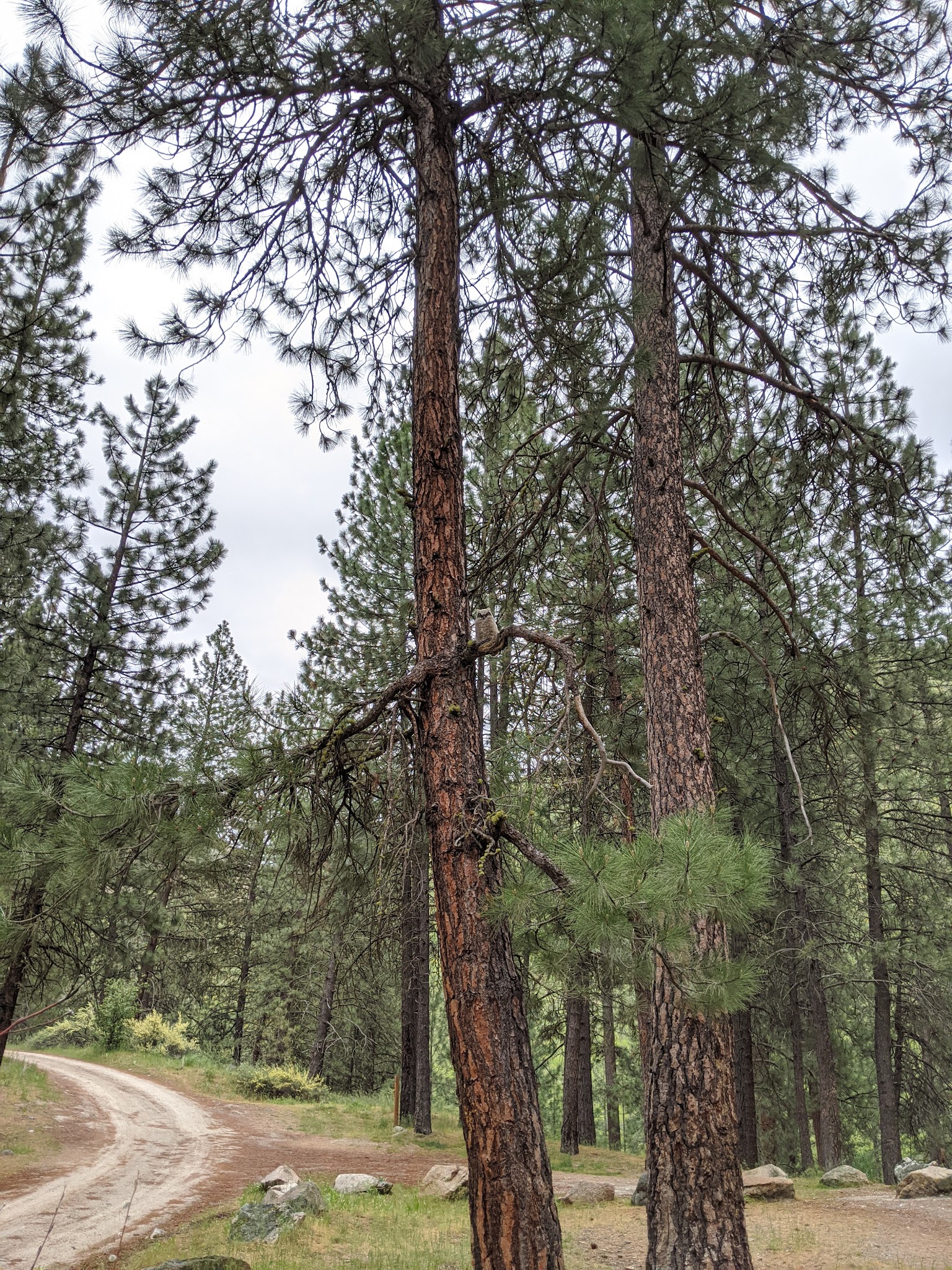 Willow Creek Campground (Mountain Home)