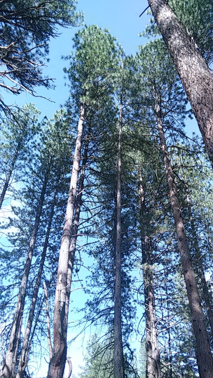 Willow Creek Campground