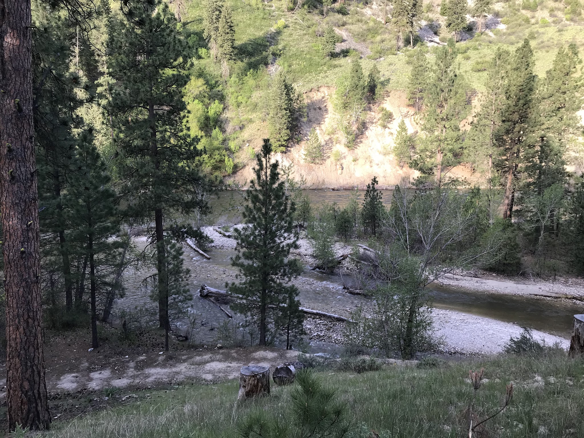 Willow Creek Campground (Mountain Home)