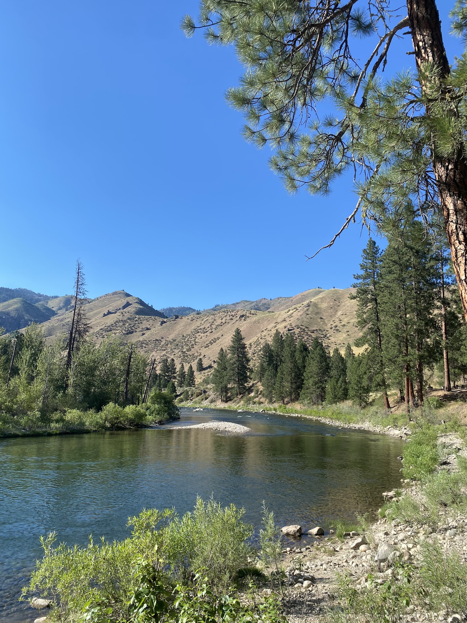 Willow Creek Campground (Mountain Home)