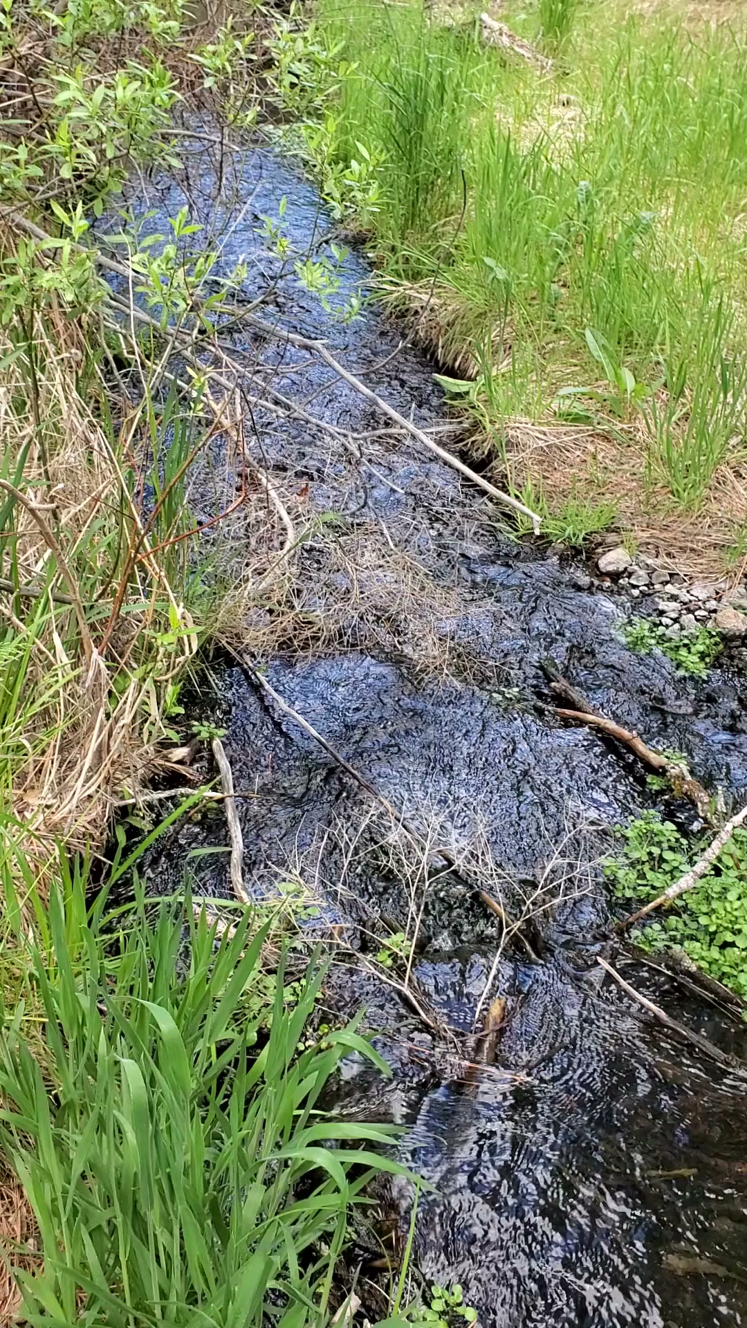 Willow Creek Campground