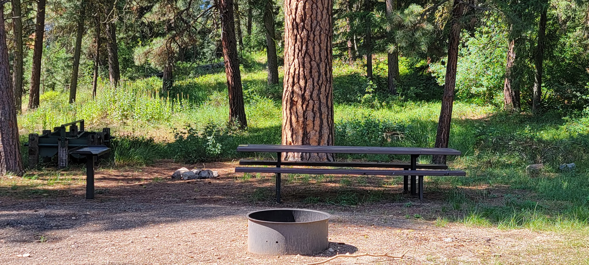 Willow Creek Transfer Camp