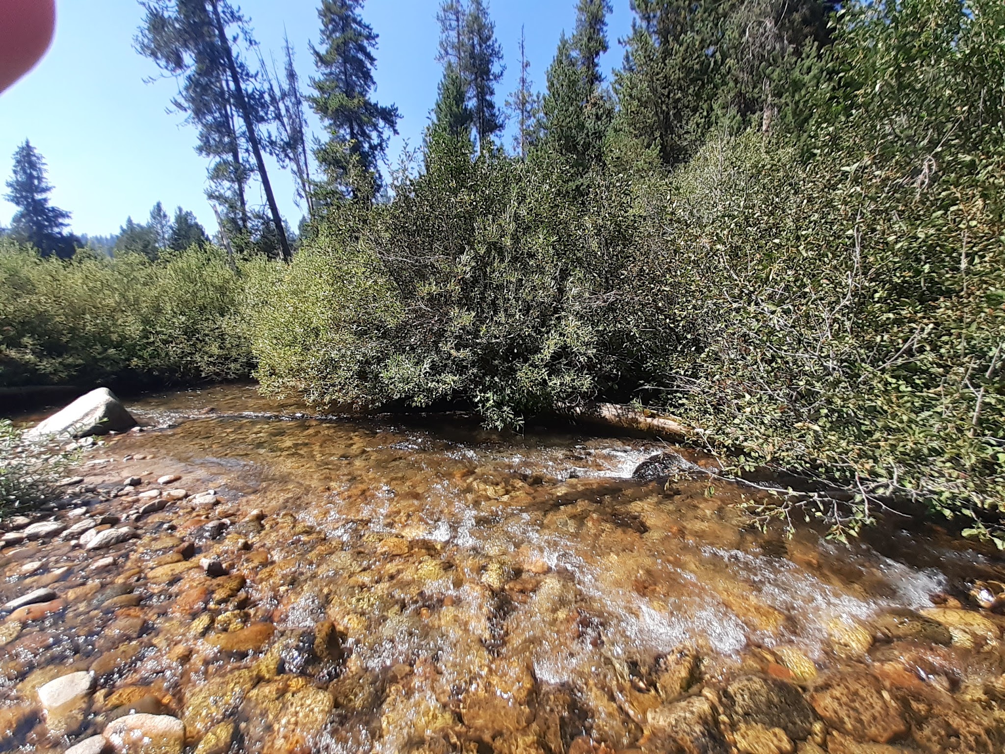 Willow Creek Campground (Idaho City)