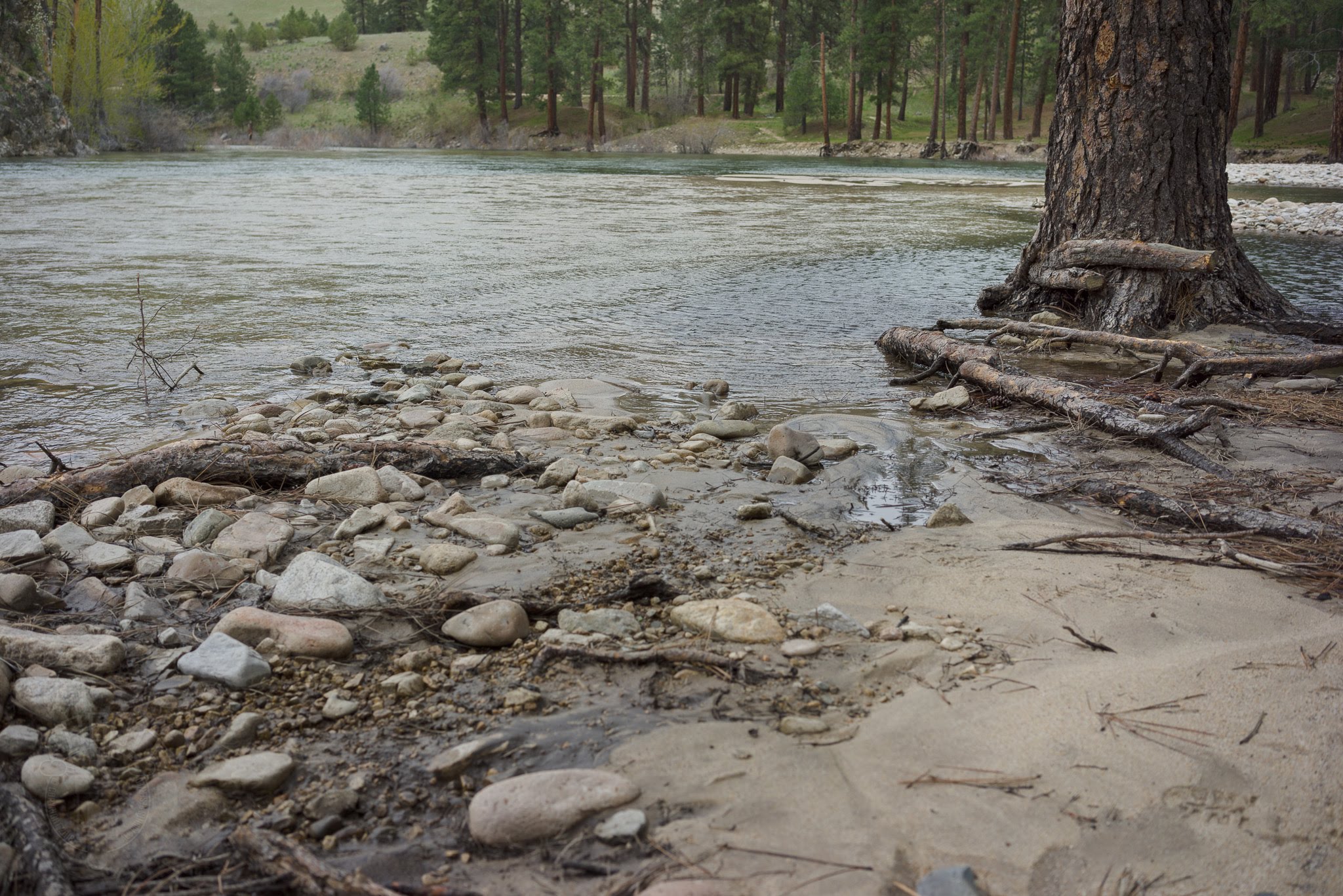 Willow Creek Campground (Mountain Home)