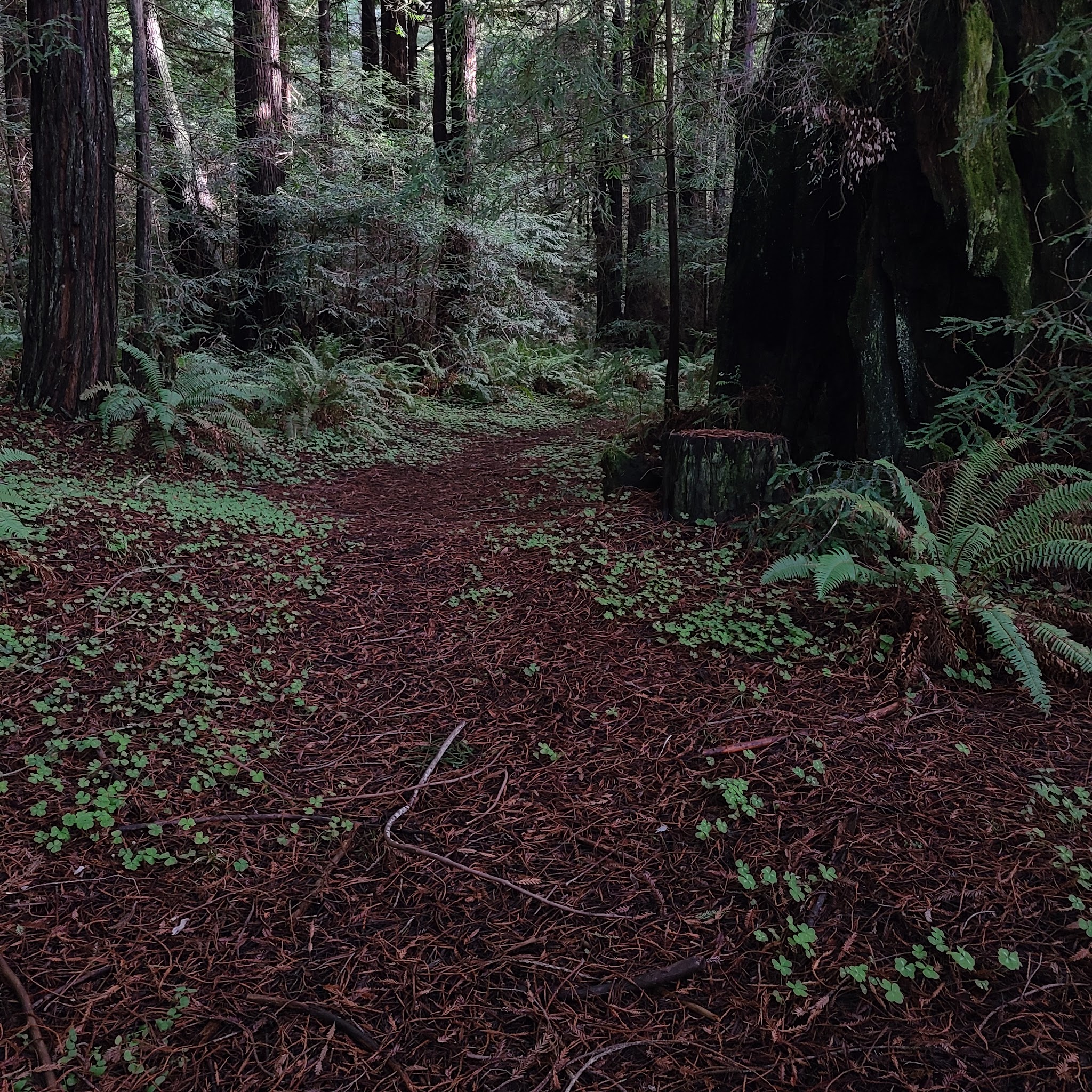 Willow Creek Environmental Campground