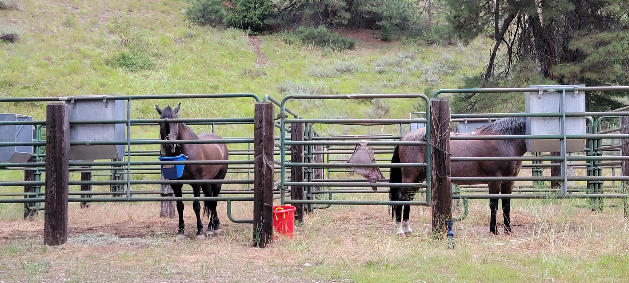 Willow Creek Transfer Camp