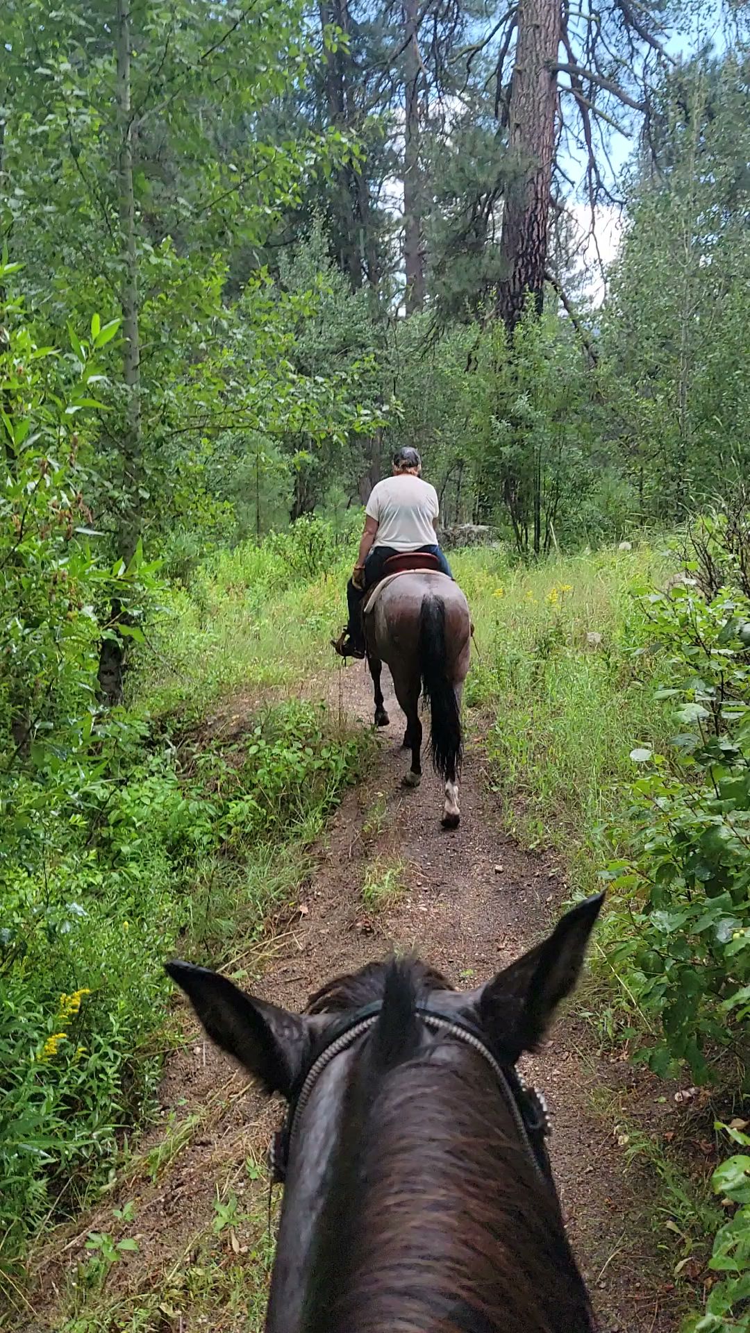 Willow Creek Transfer Camp