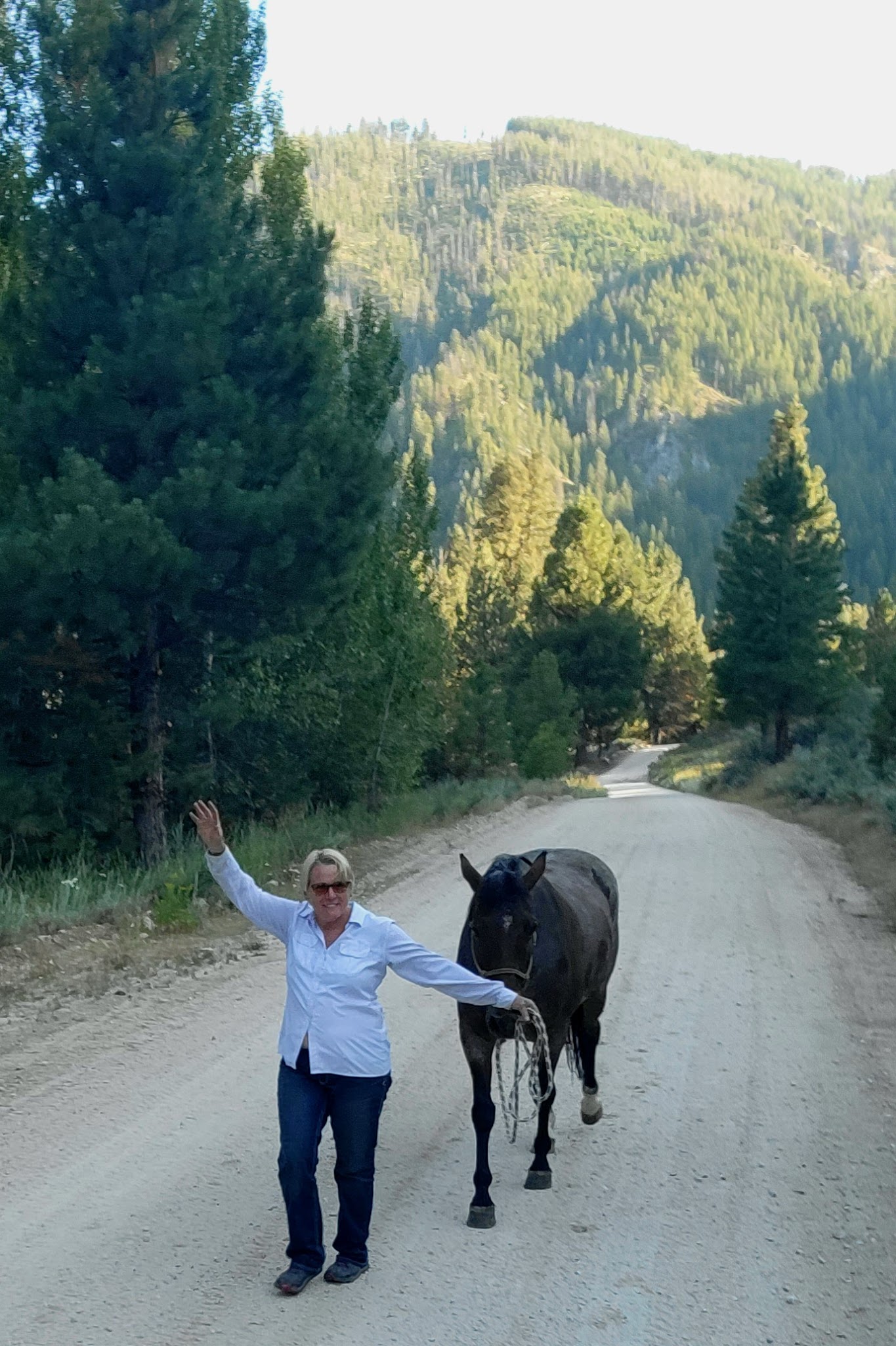 Willow Creek Transfer Camp