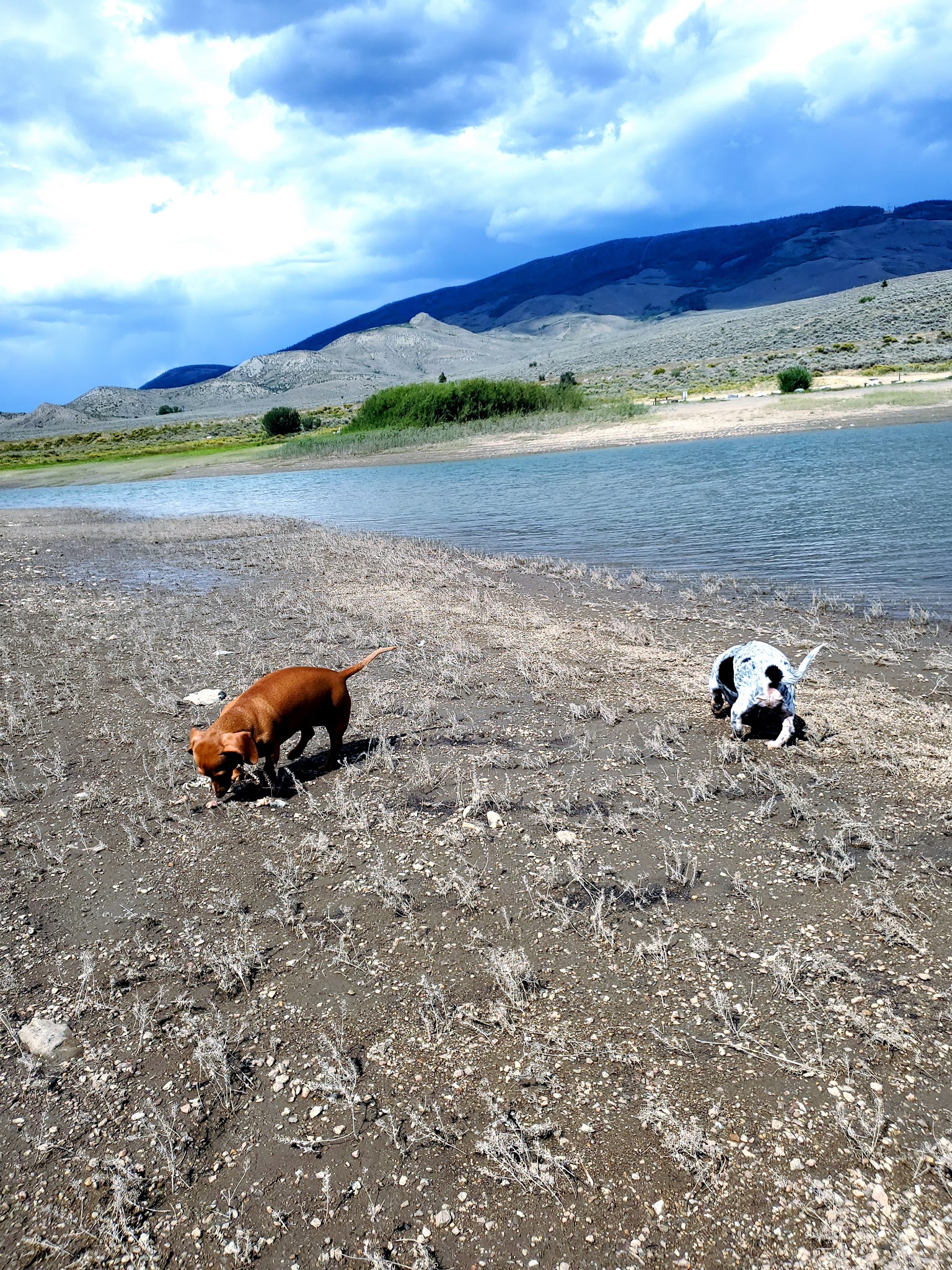 Willows Campground (Co)