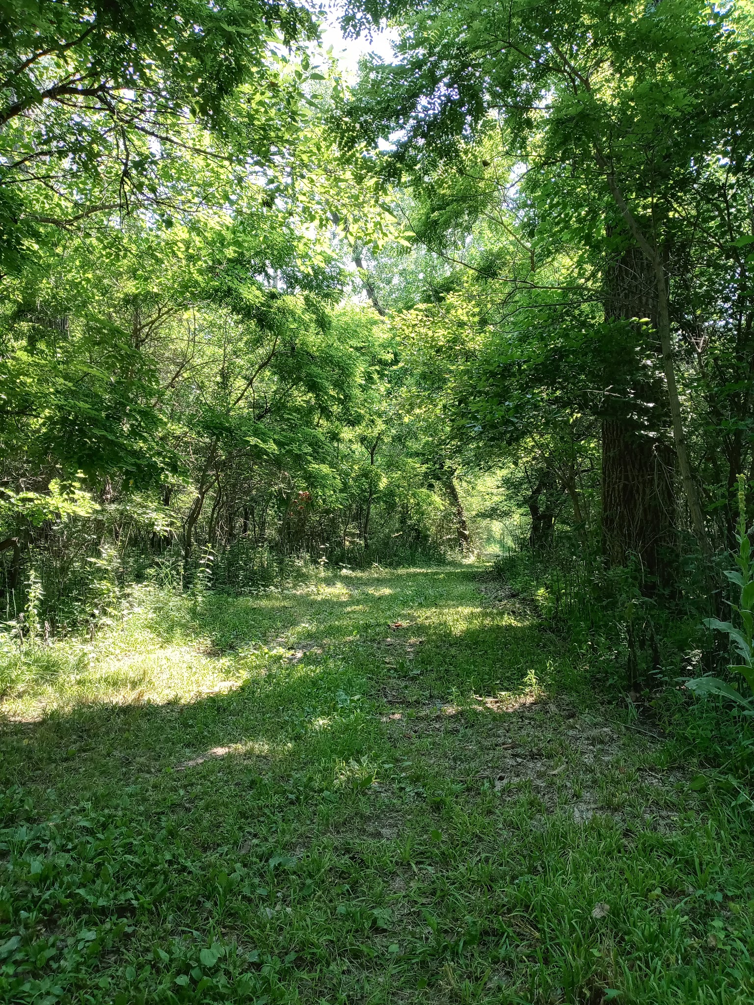 Wilson Island State Recreation Area