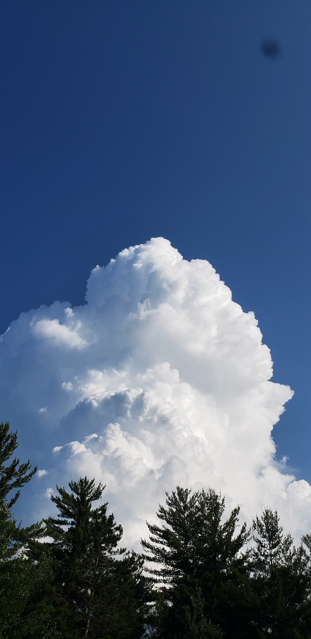 Wilson Lake Rustic Campground & Backcountry Sites